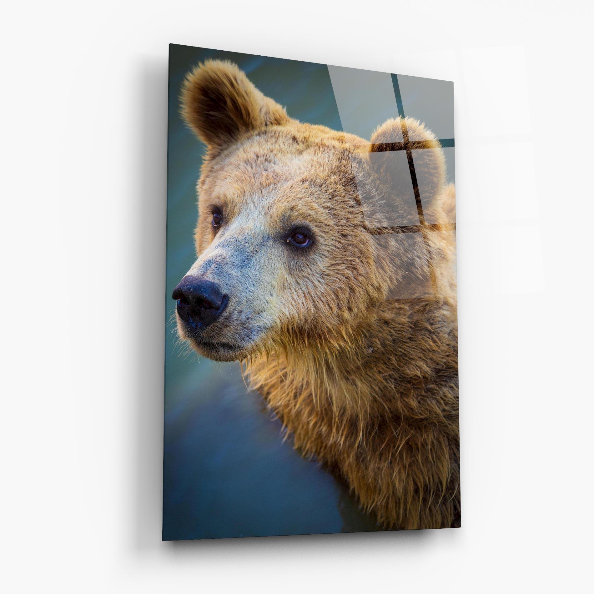 Glasbild Bear Head mockup 6