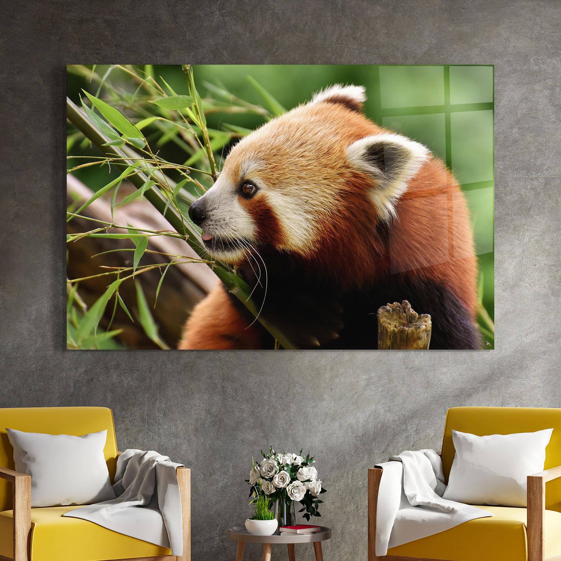 Glasbild Cute Red Panda mockup 4