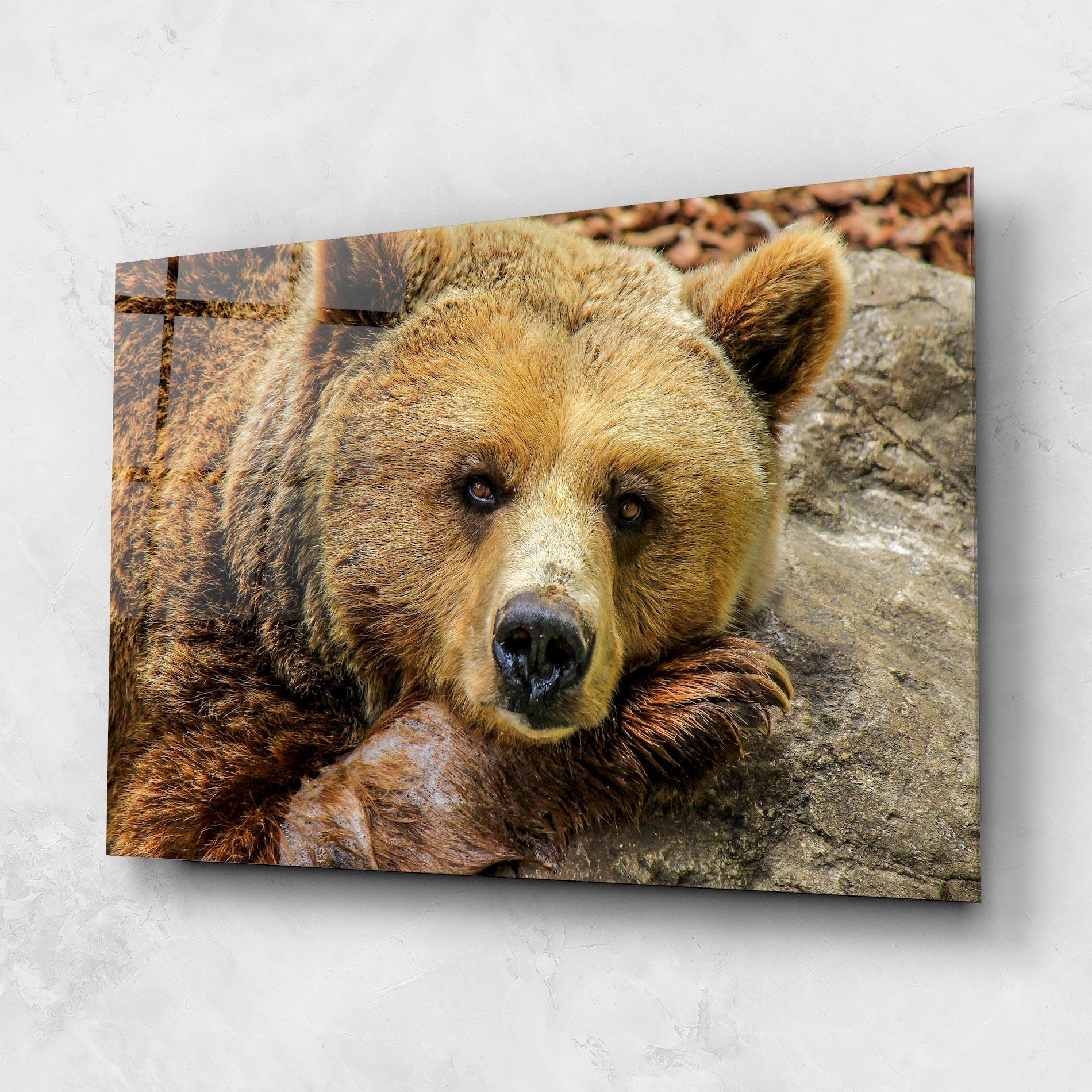 Glasbild Bear mockup 1
