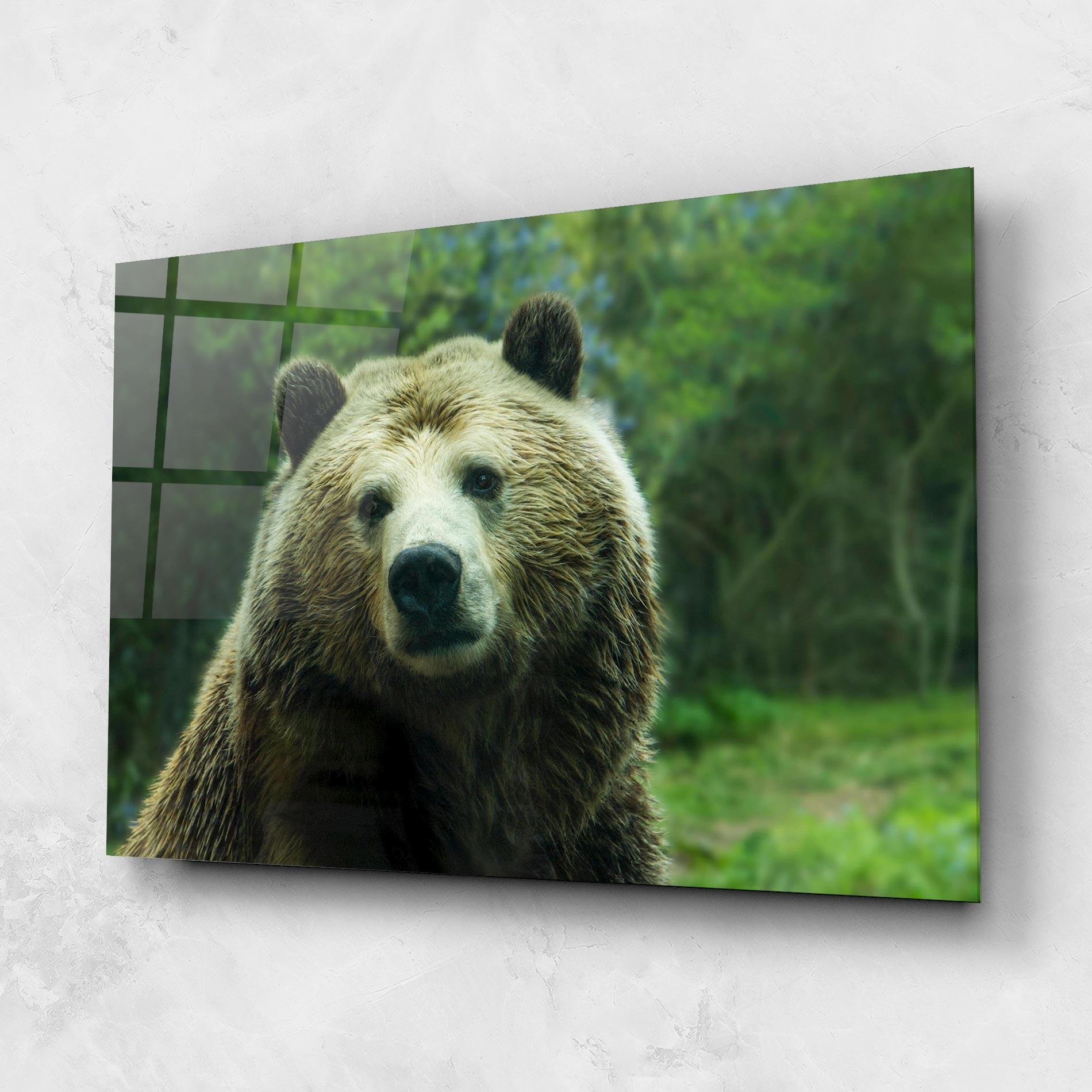 Glasbild Green Bear mockup 1