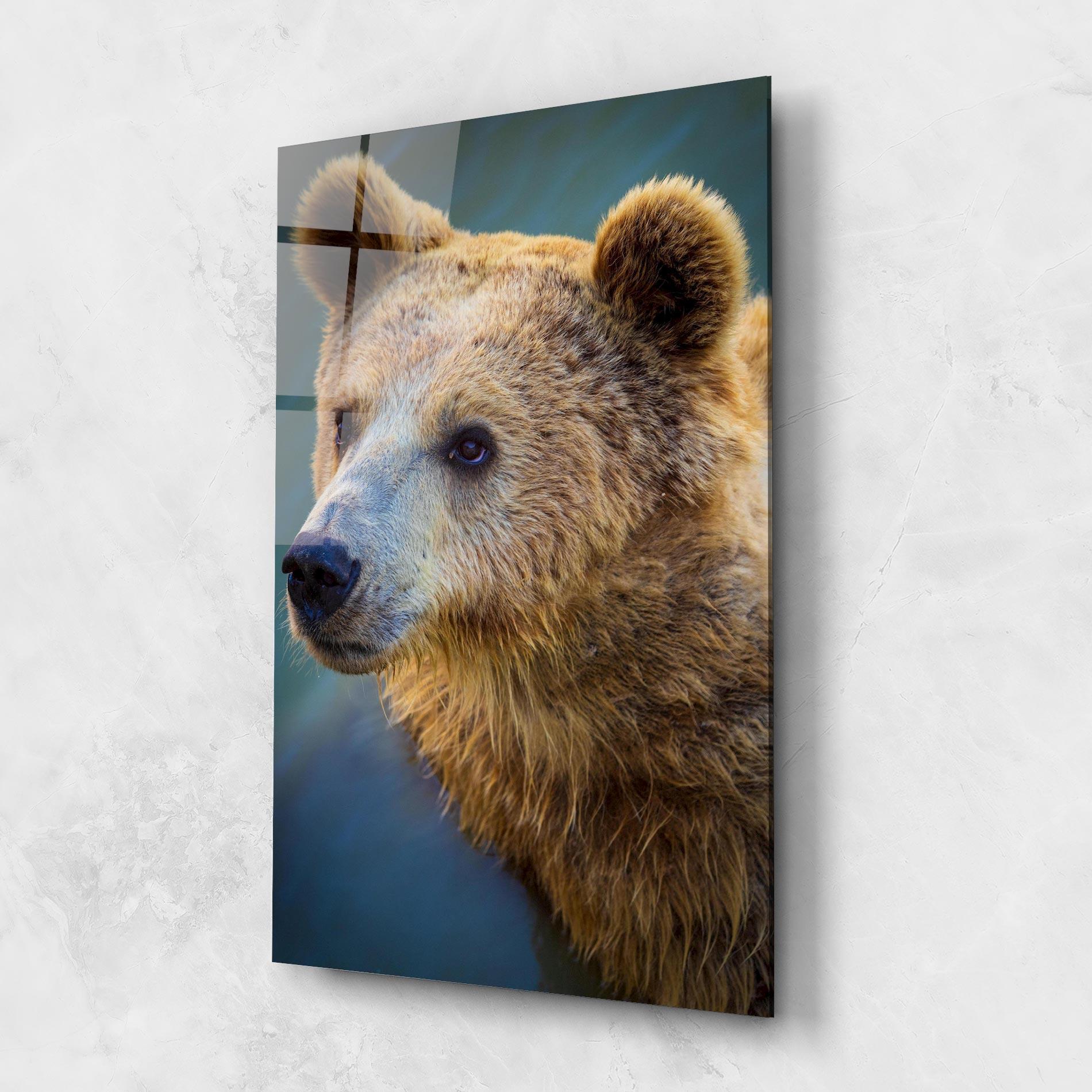 Glasbild Bear Head mockup 1
