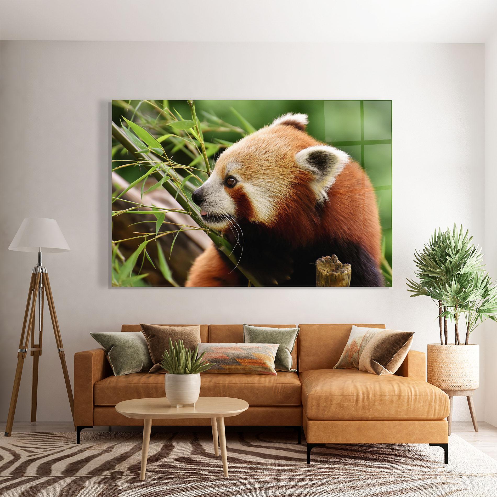 Glasbild Cute Red Panda mockup 7