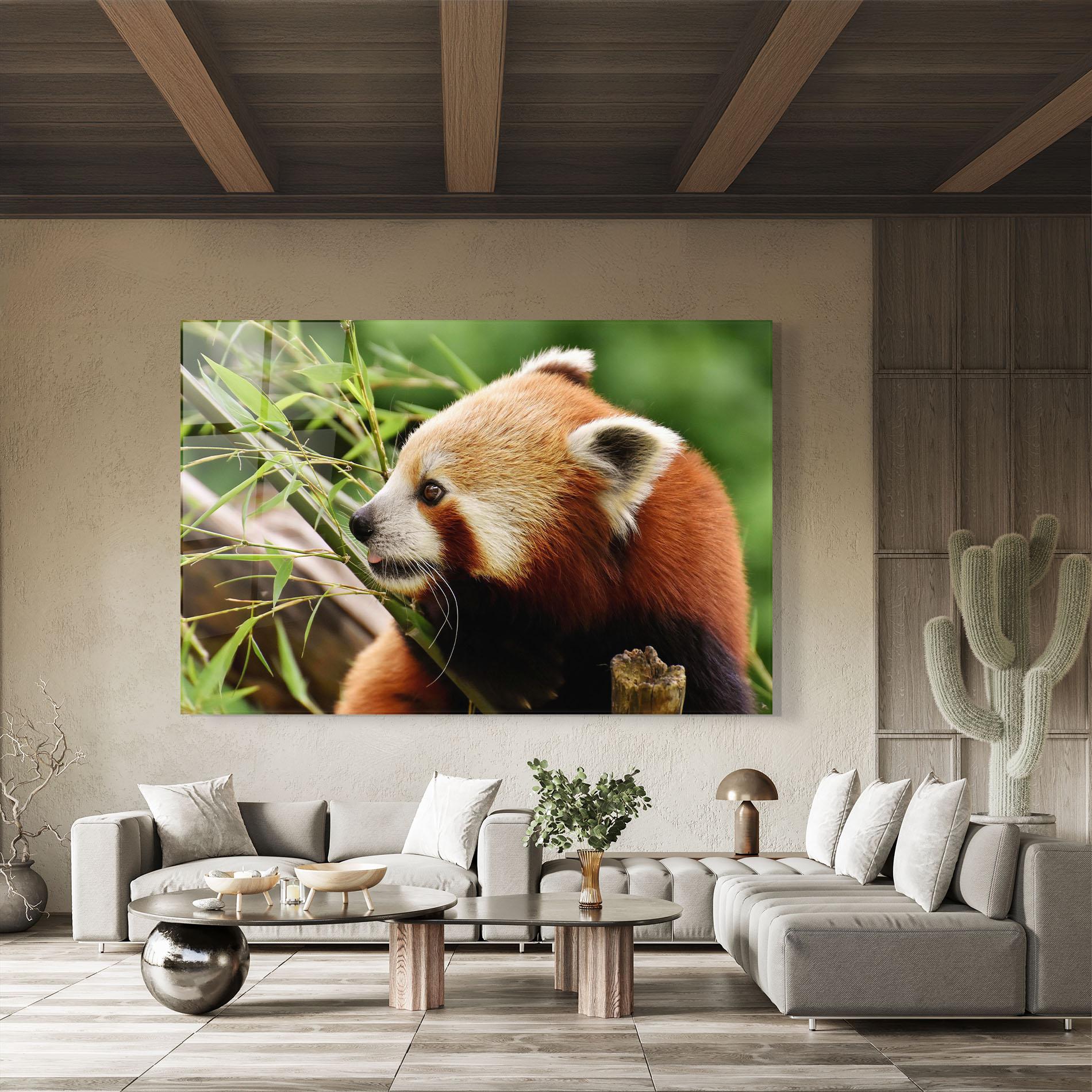 Glasbild Cute Red Panda mockup 8