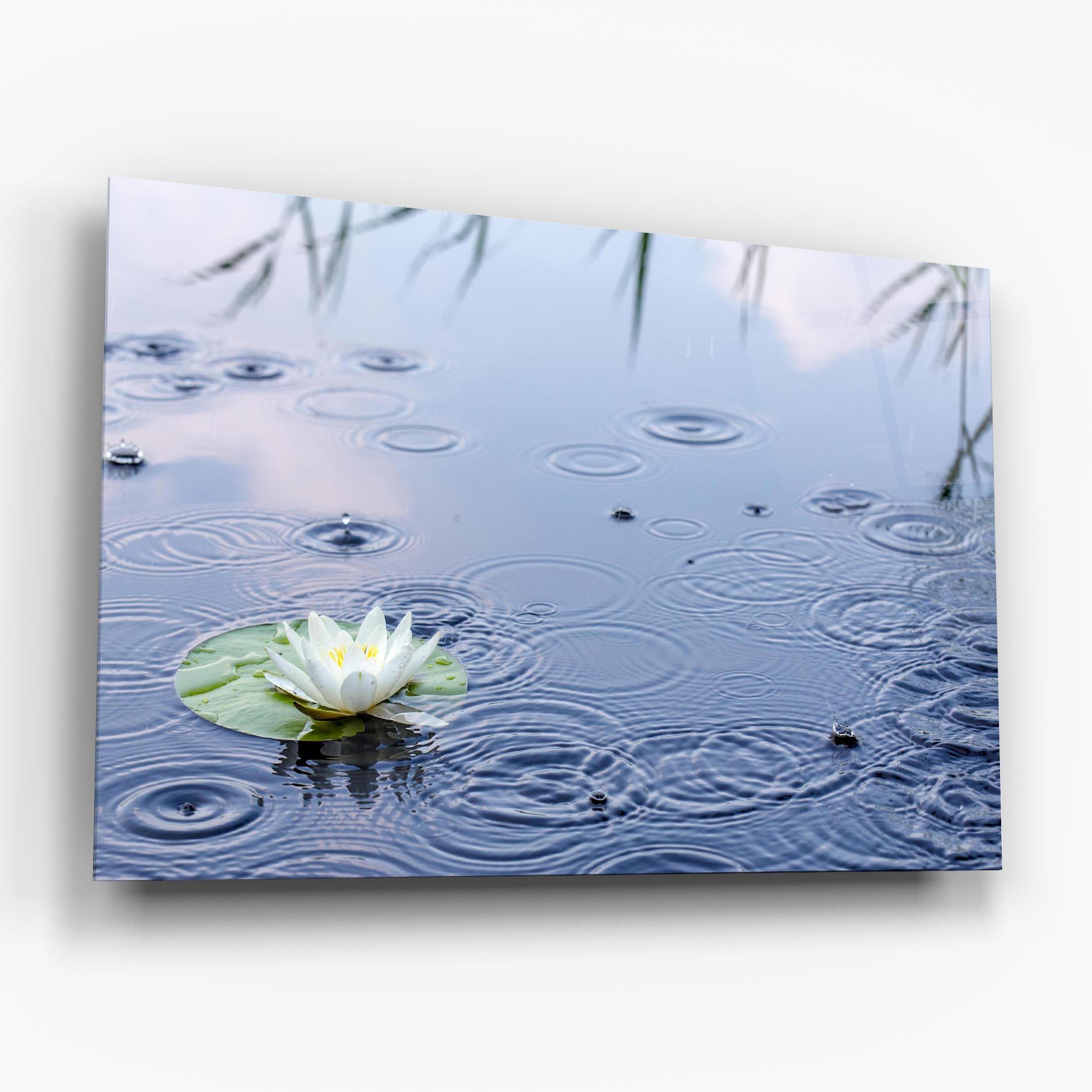 Clear Lake Rain mockup 6
