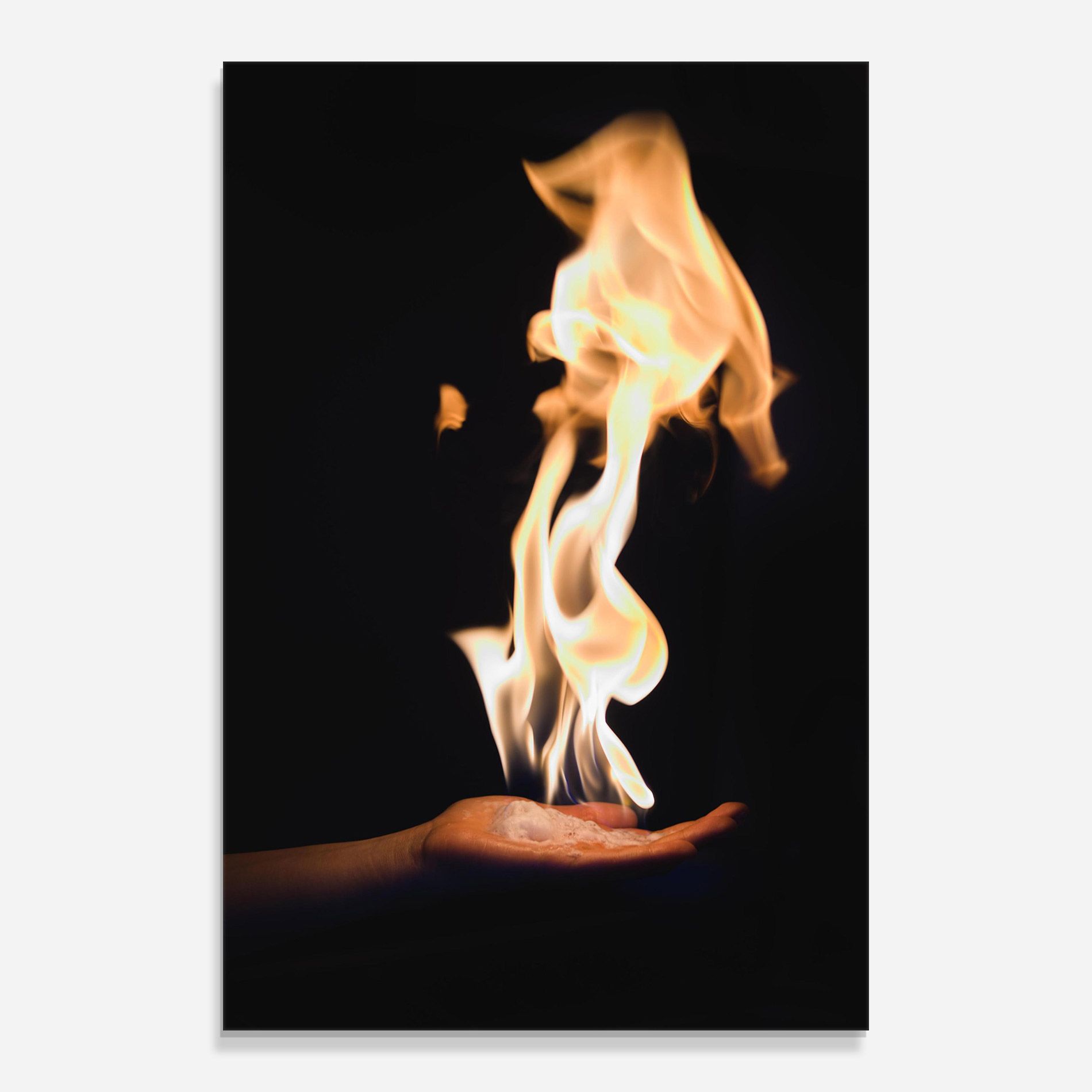 Fire Palm mockup 0