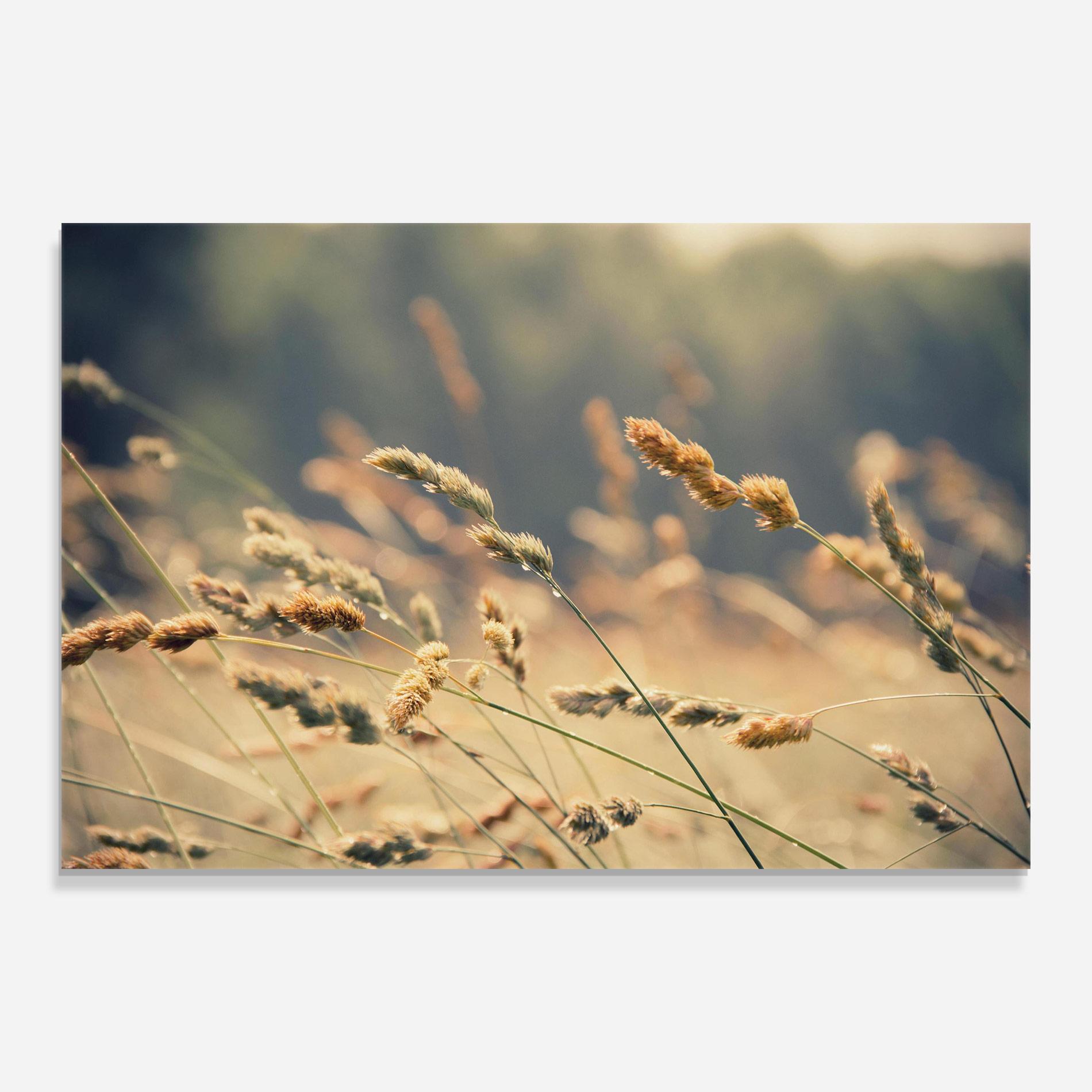 Glasbild Cream Nature Plants mockup 0