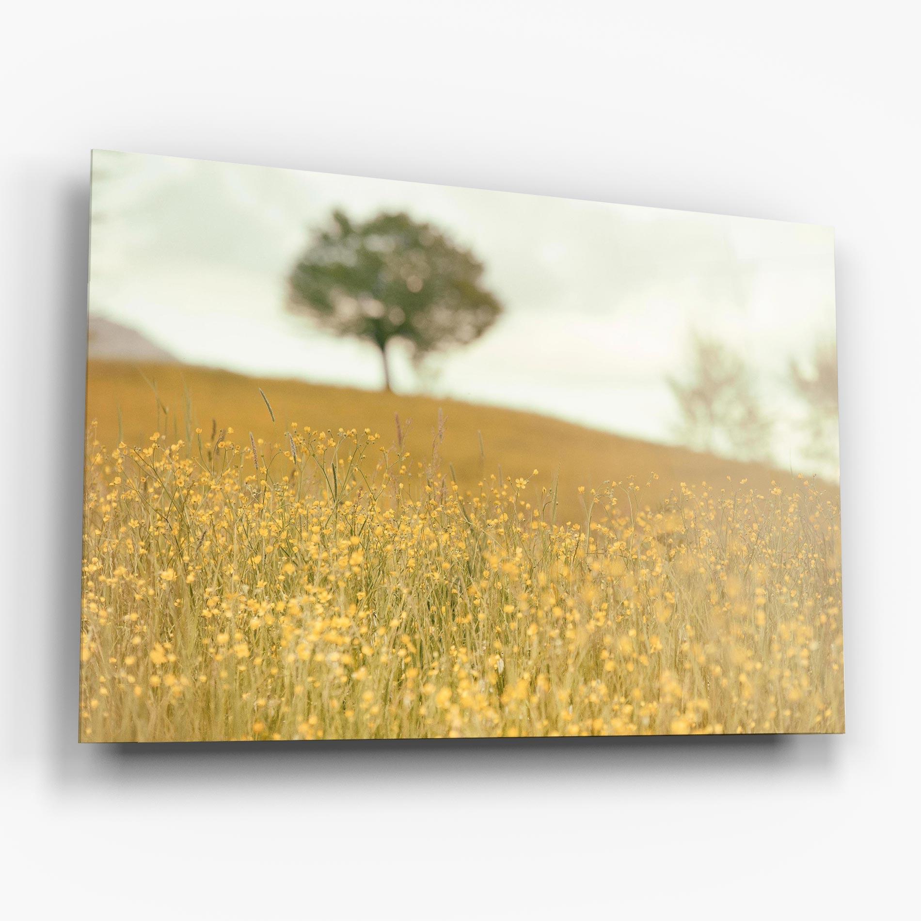 Glasbild Cream Field Nature mockup 6