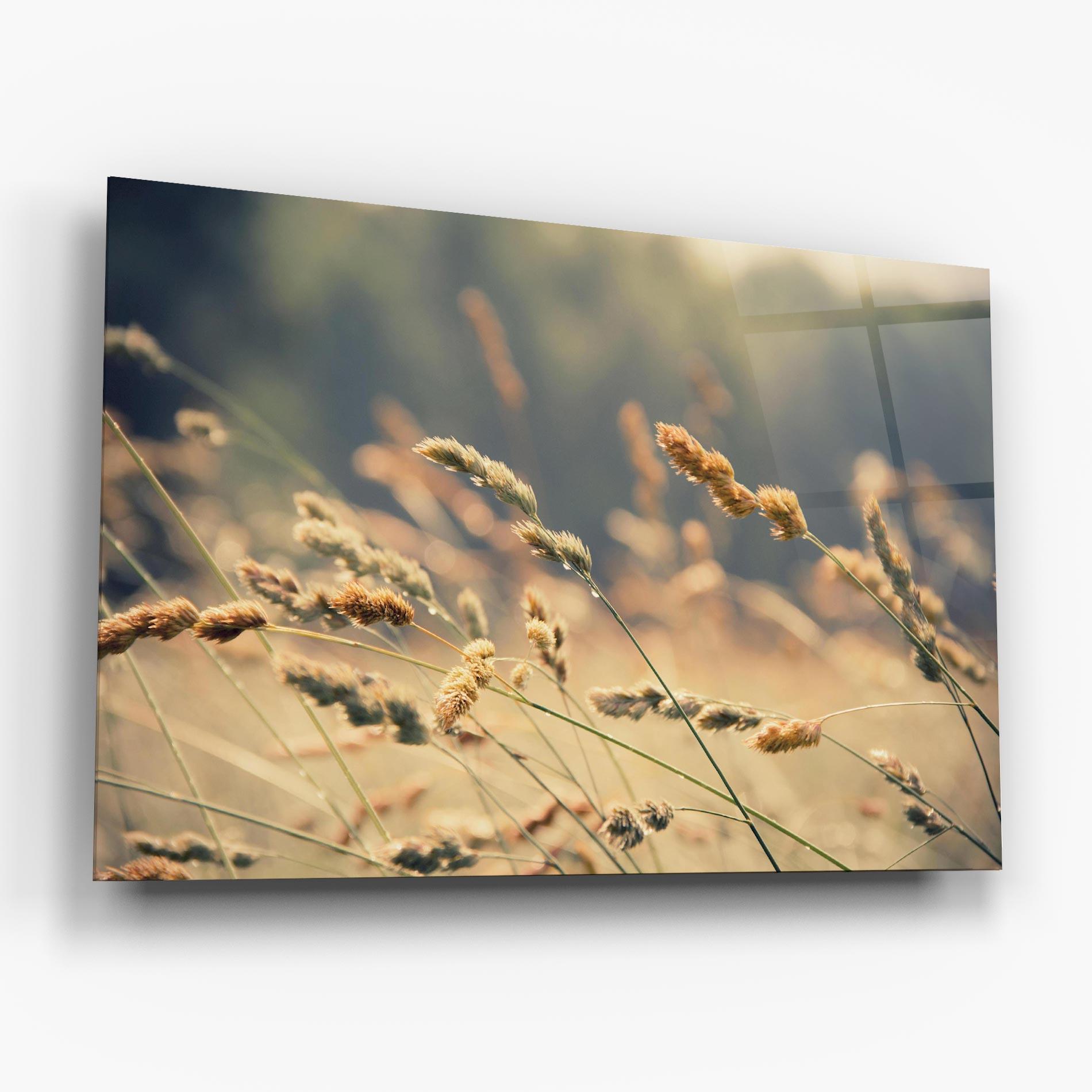 Glasbild Cream Nature Plants mockup 6