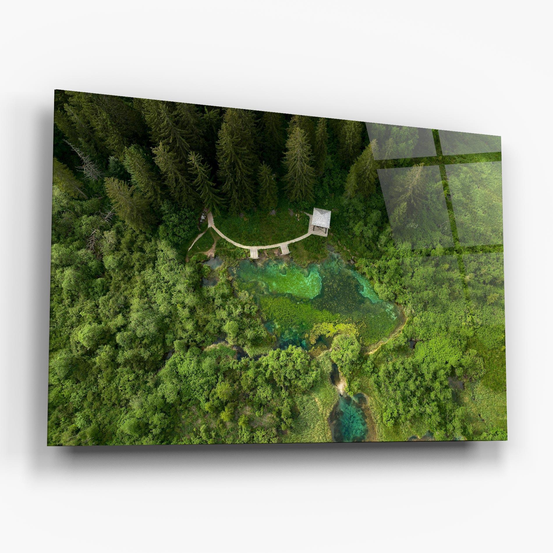 Glasbild Forest Pretty View mockup 6