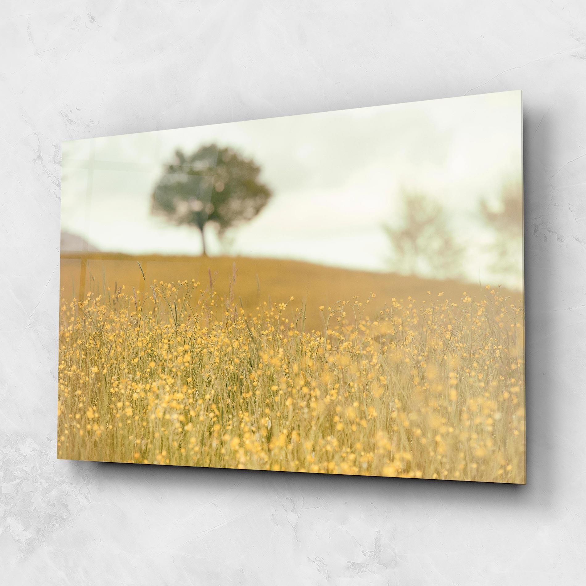 Glasbild Cream Field Nature mockup 1