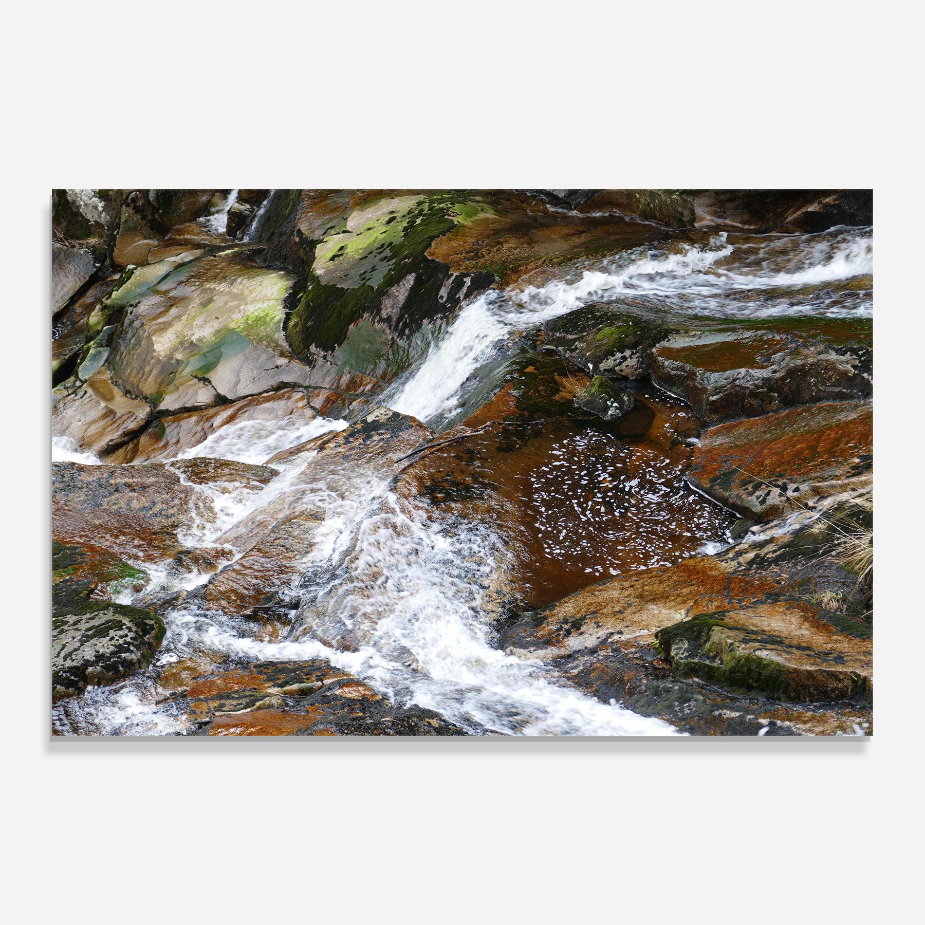 Glasbild Forest Peace mockup 0