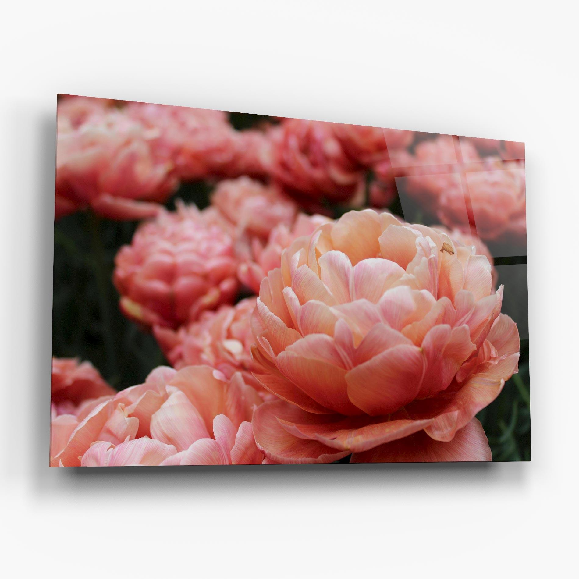 Glasbild Light Orange Peony mockup 6