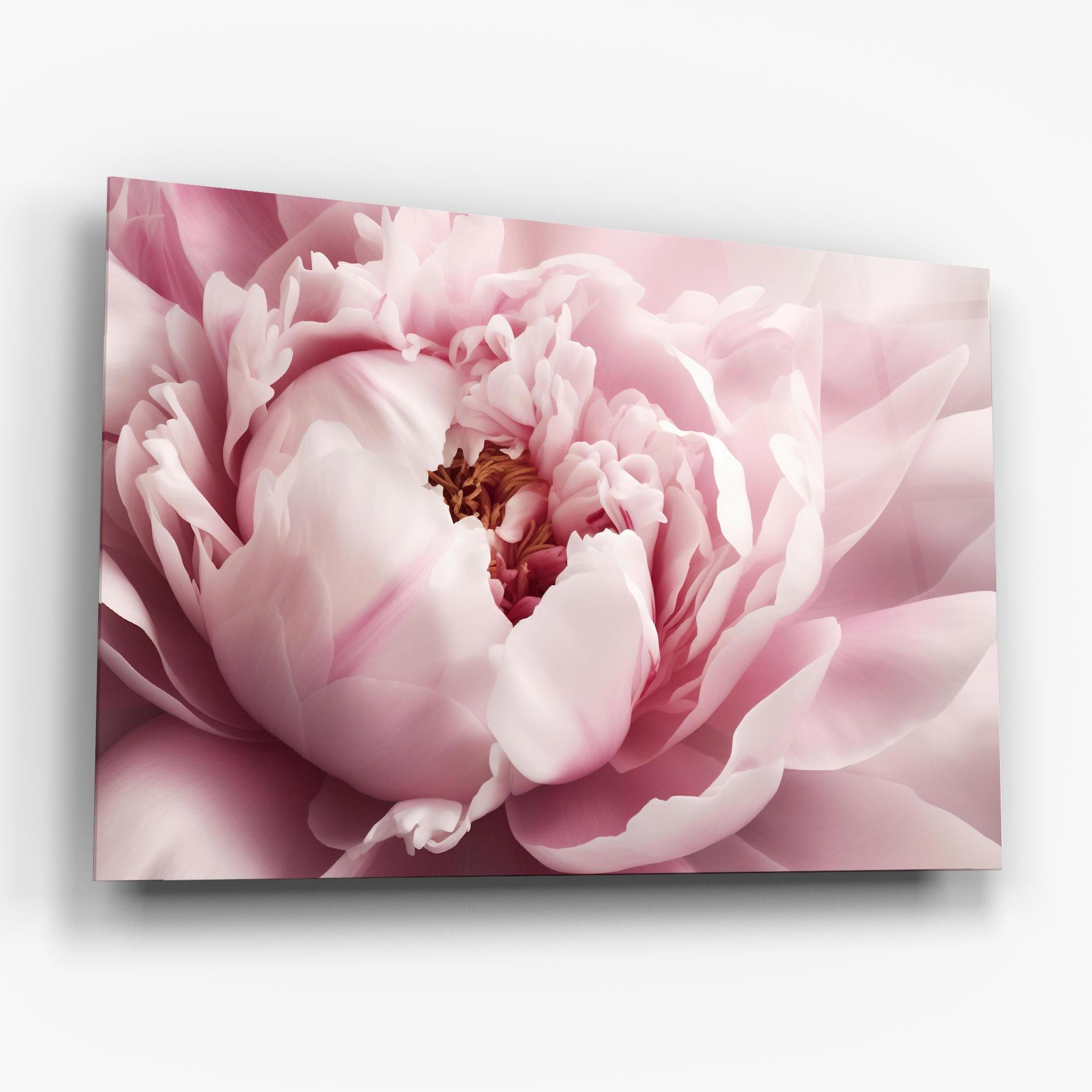 Pastel Peony Petals mockup 6