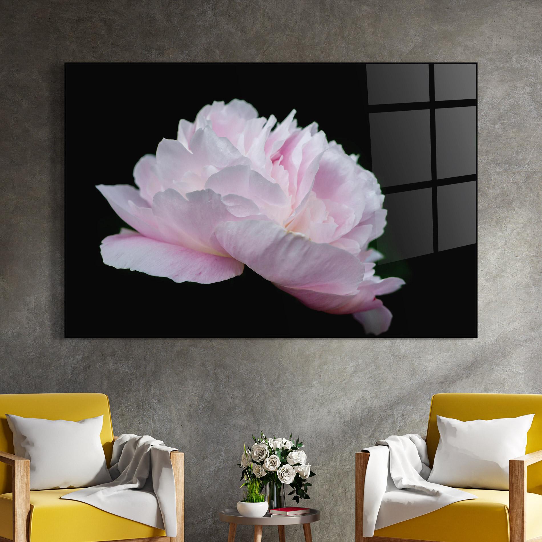 Glasbild Pastel Peony On Black mockup 4