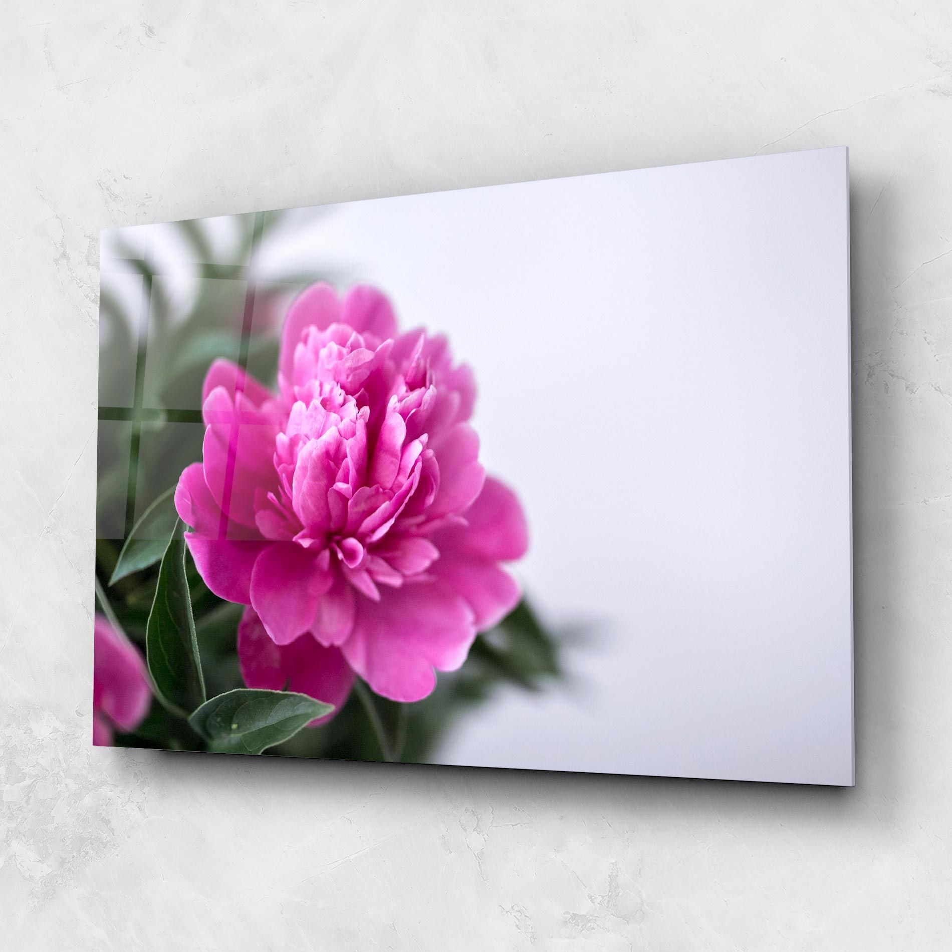 Dark Pink Peony mockup 1