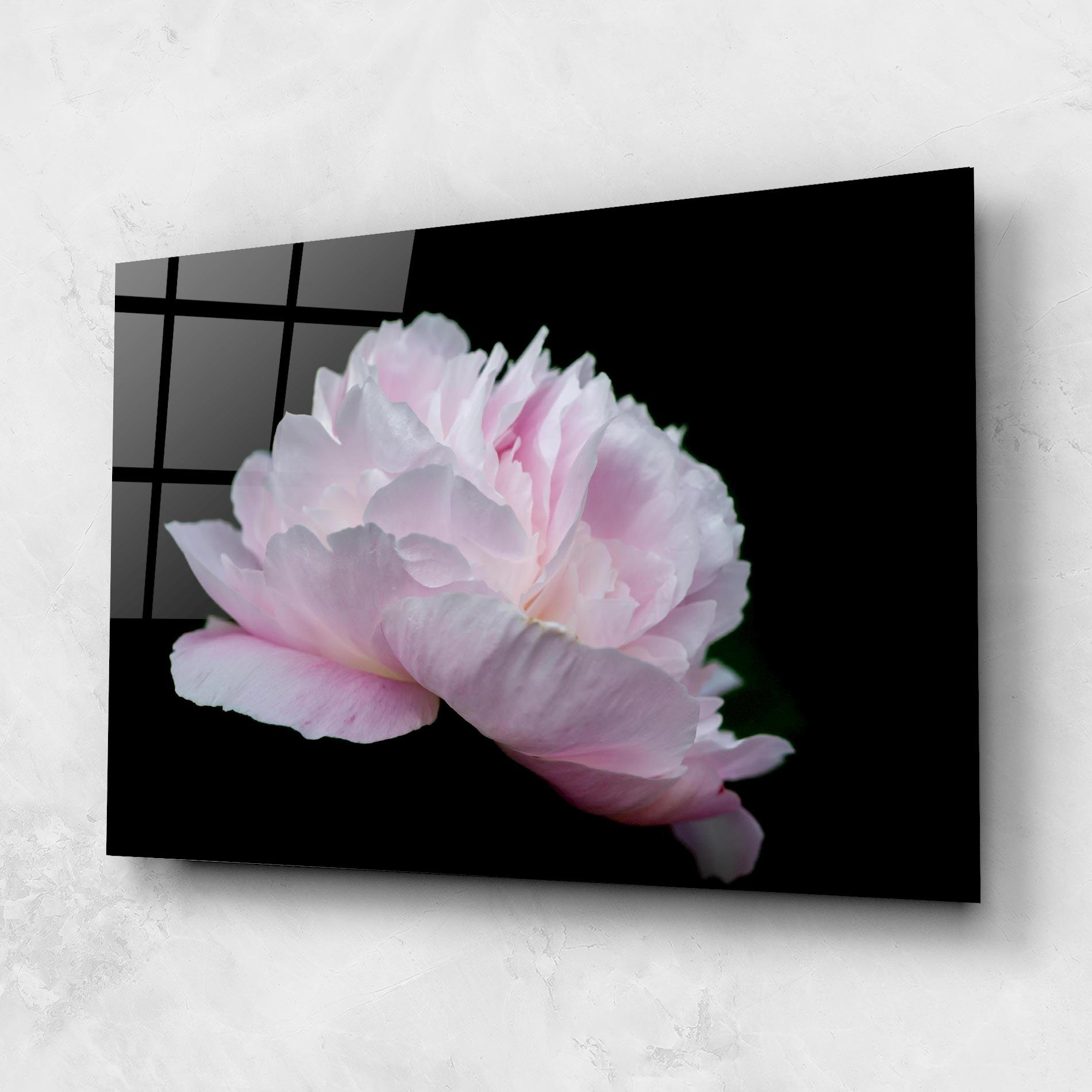Glasbild Pastel Peony On Black mockup 1