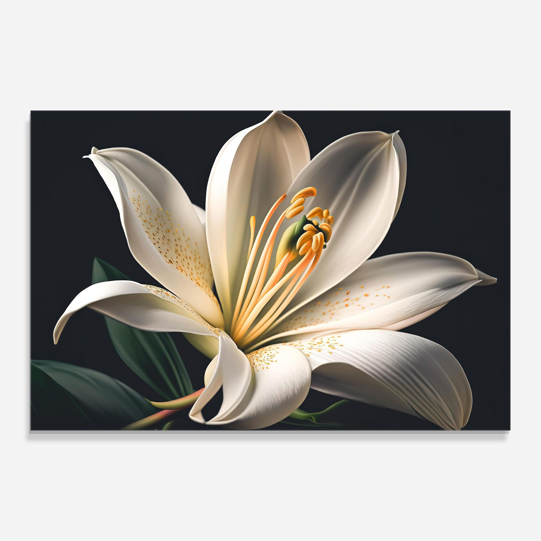 Big Lily View mockup 0