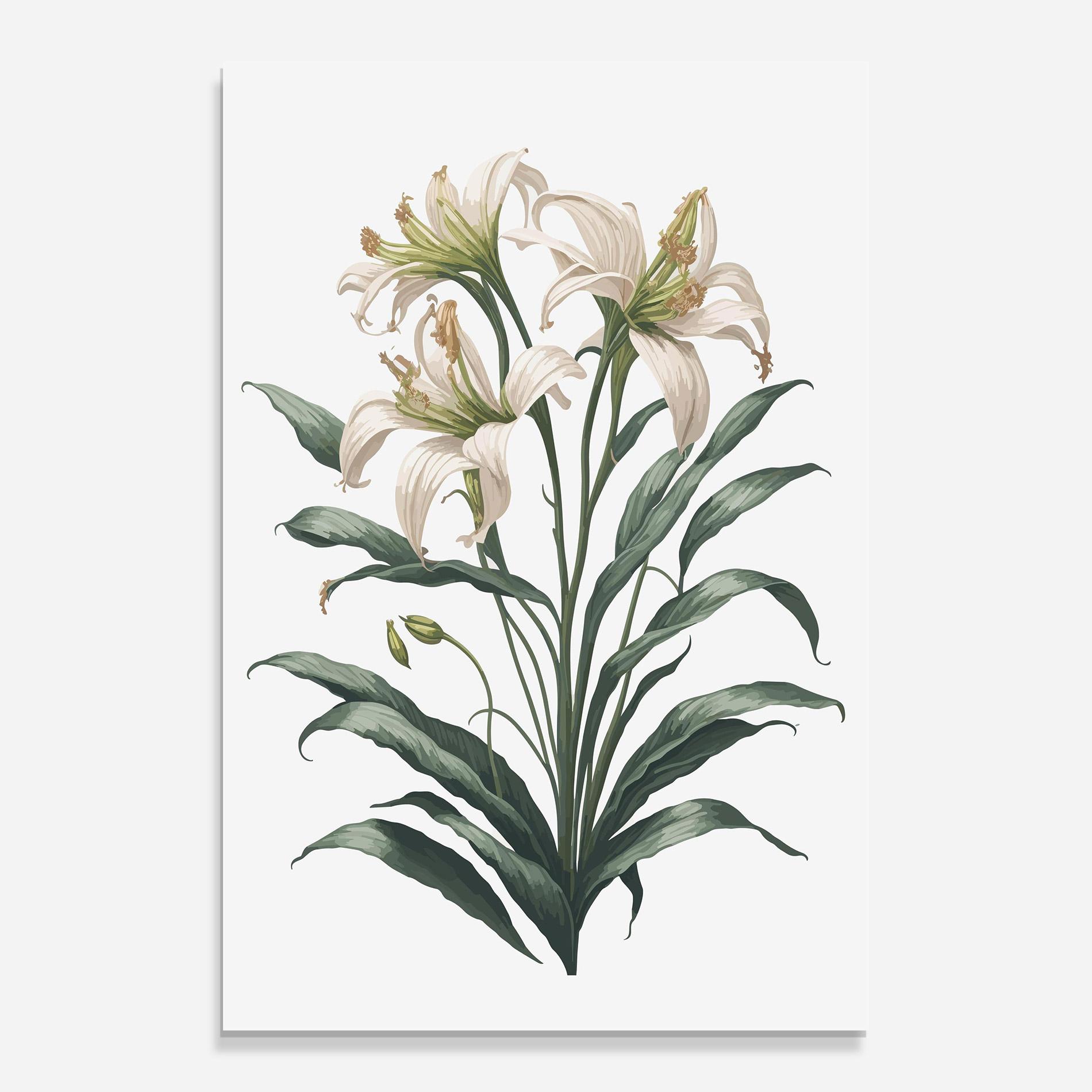 Glasbild Columbia Lily mockup 0