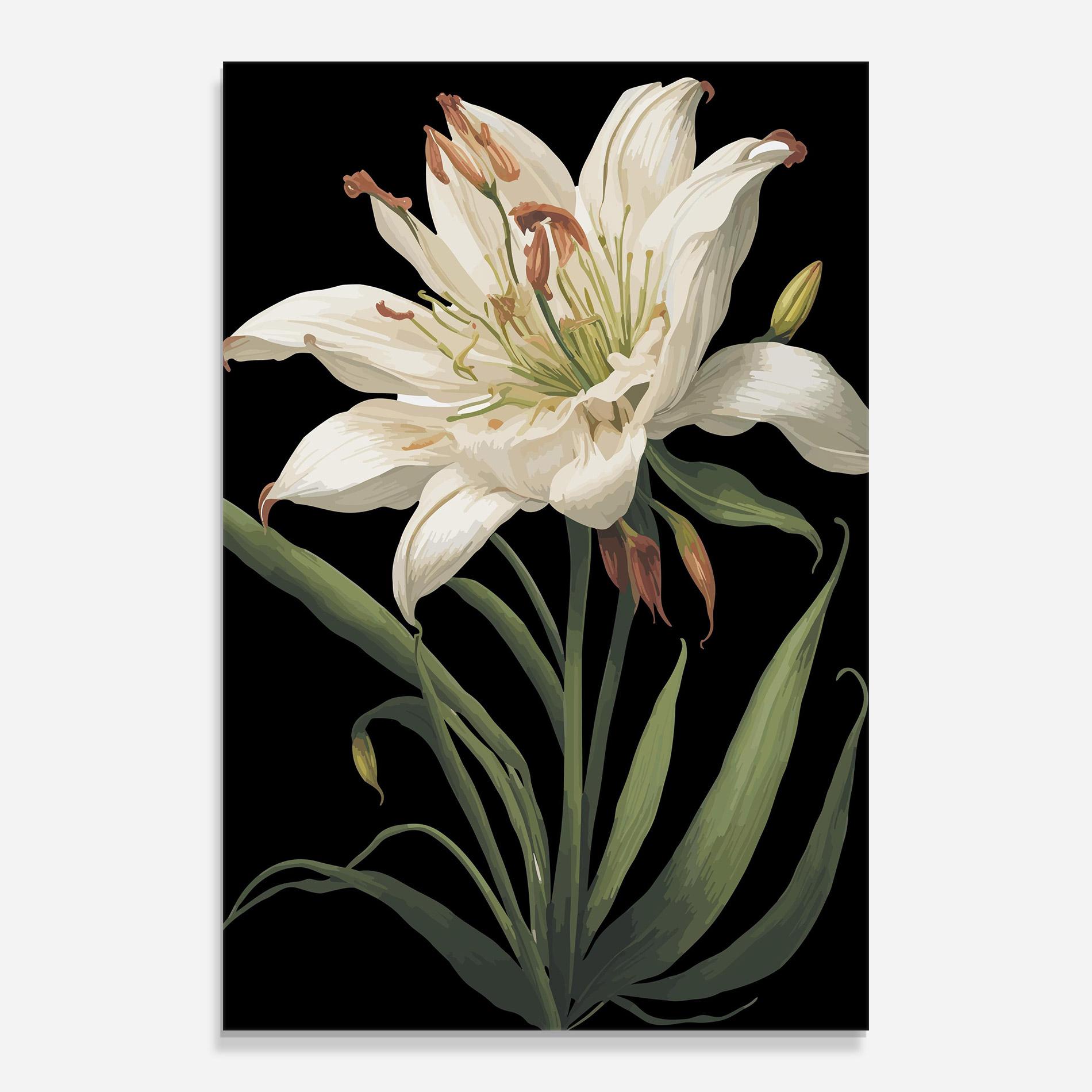 Glasbild Columbia White Lily mockup 0