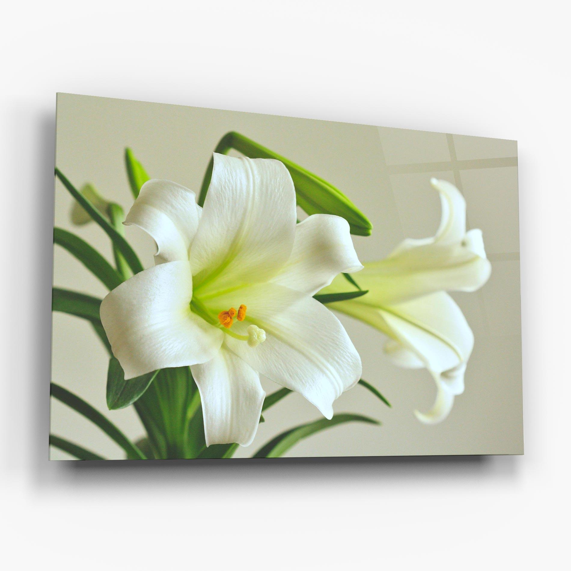 Glasbild Green Lily mockup 6