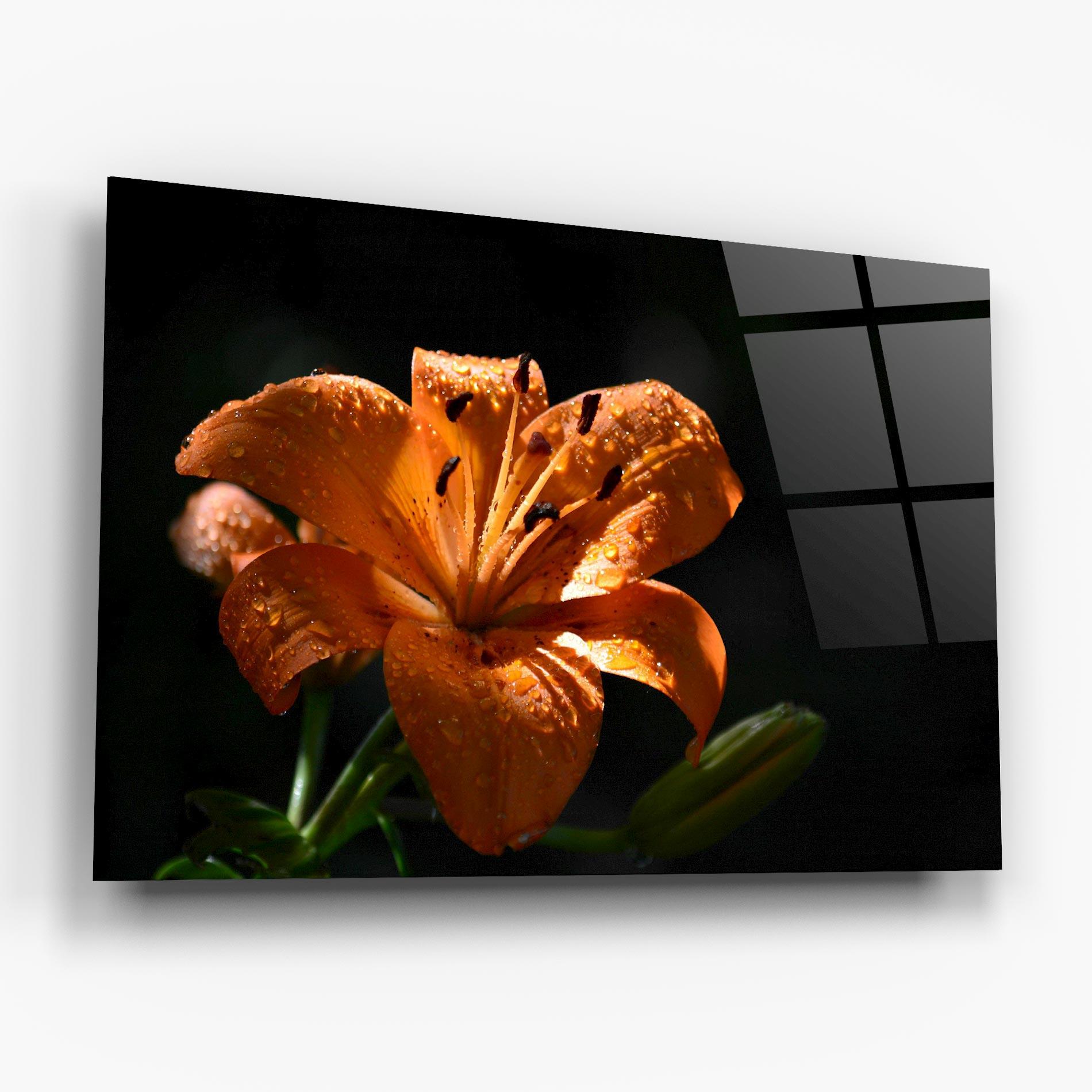 Glasbild Open Orange Lily On Black mockup 6