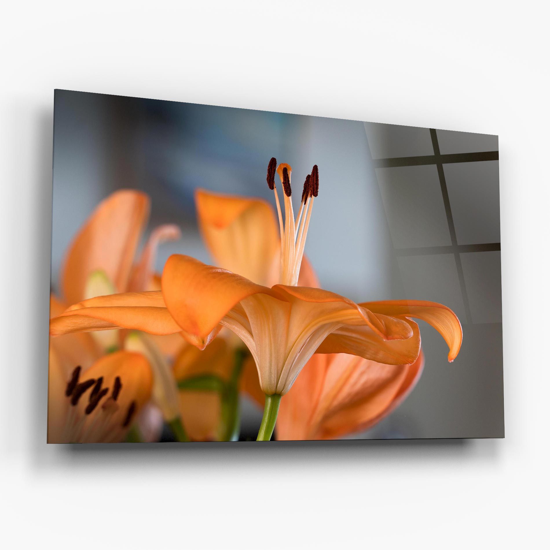 Open Orange Lily mockup 6