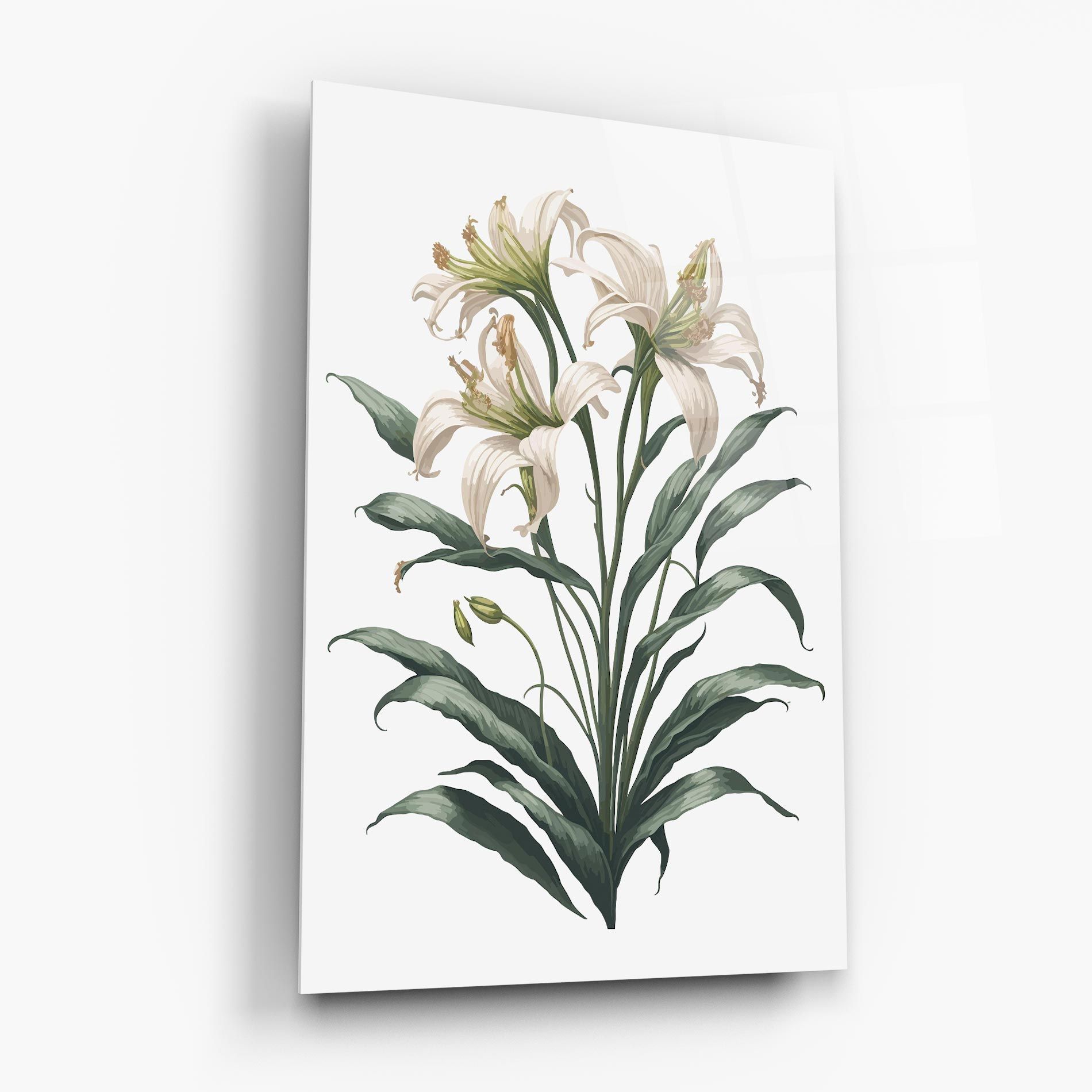 Columbia Lily mockup 6