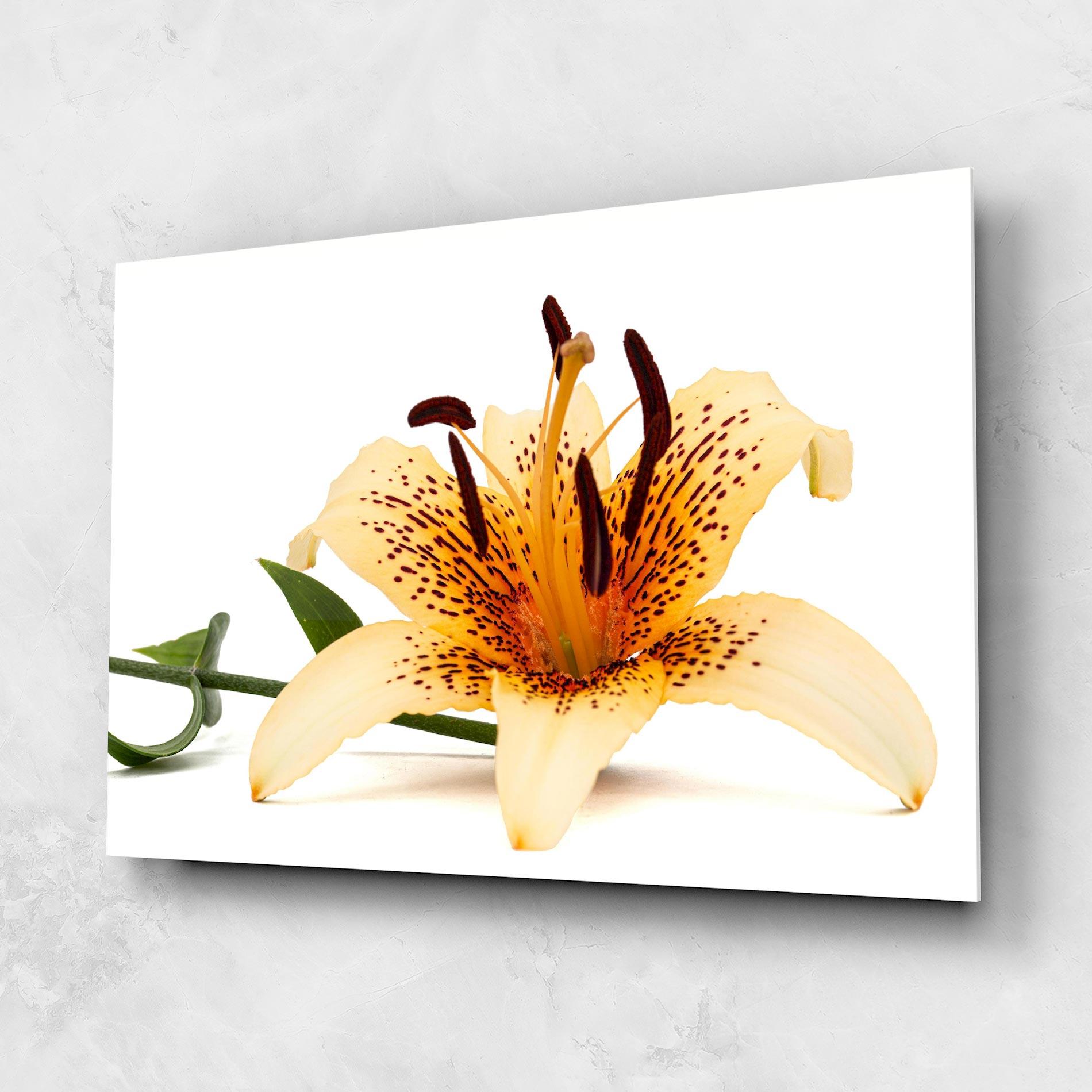 Glasbild Big Yellow Lily mockup 1