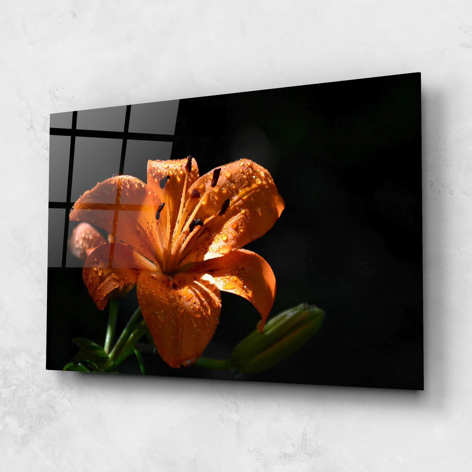Glasbild Open Orange Lily On Black mockup 1