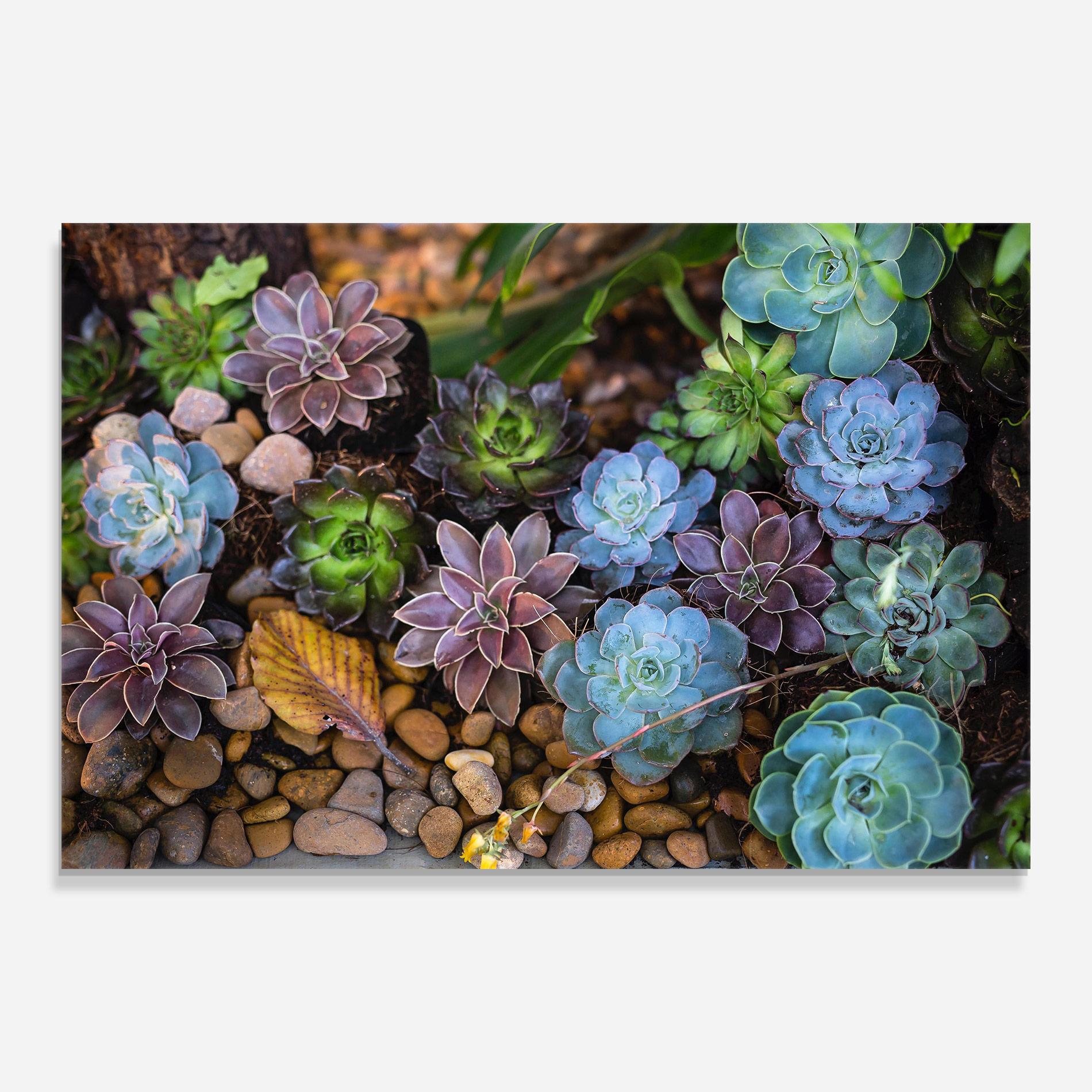 Glasbild Colorful Flowers mockup 0