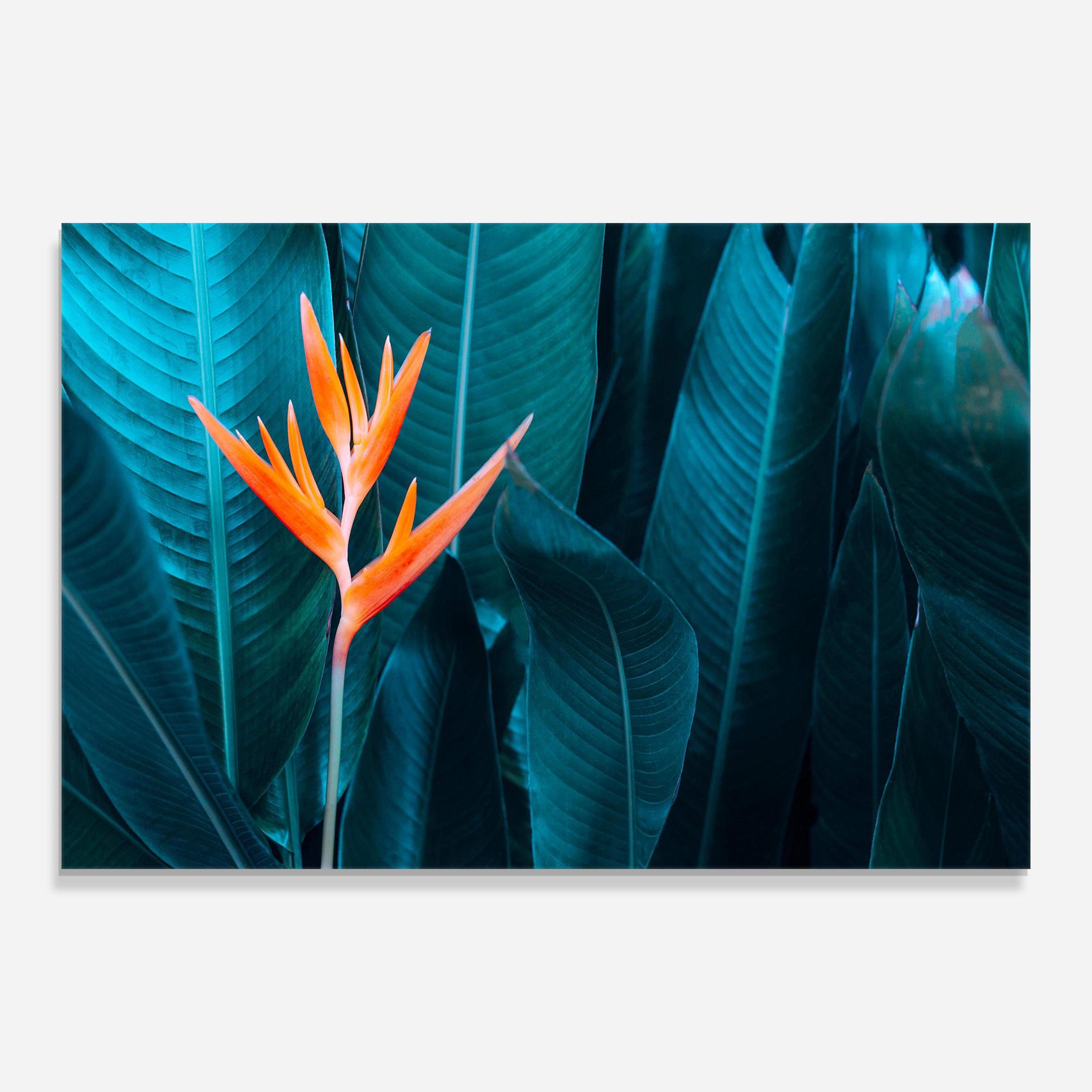 Glasbild Orange Green Exotic mockup 0