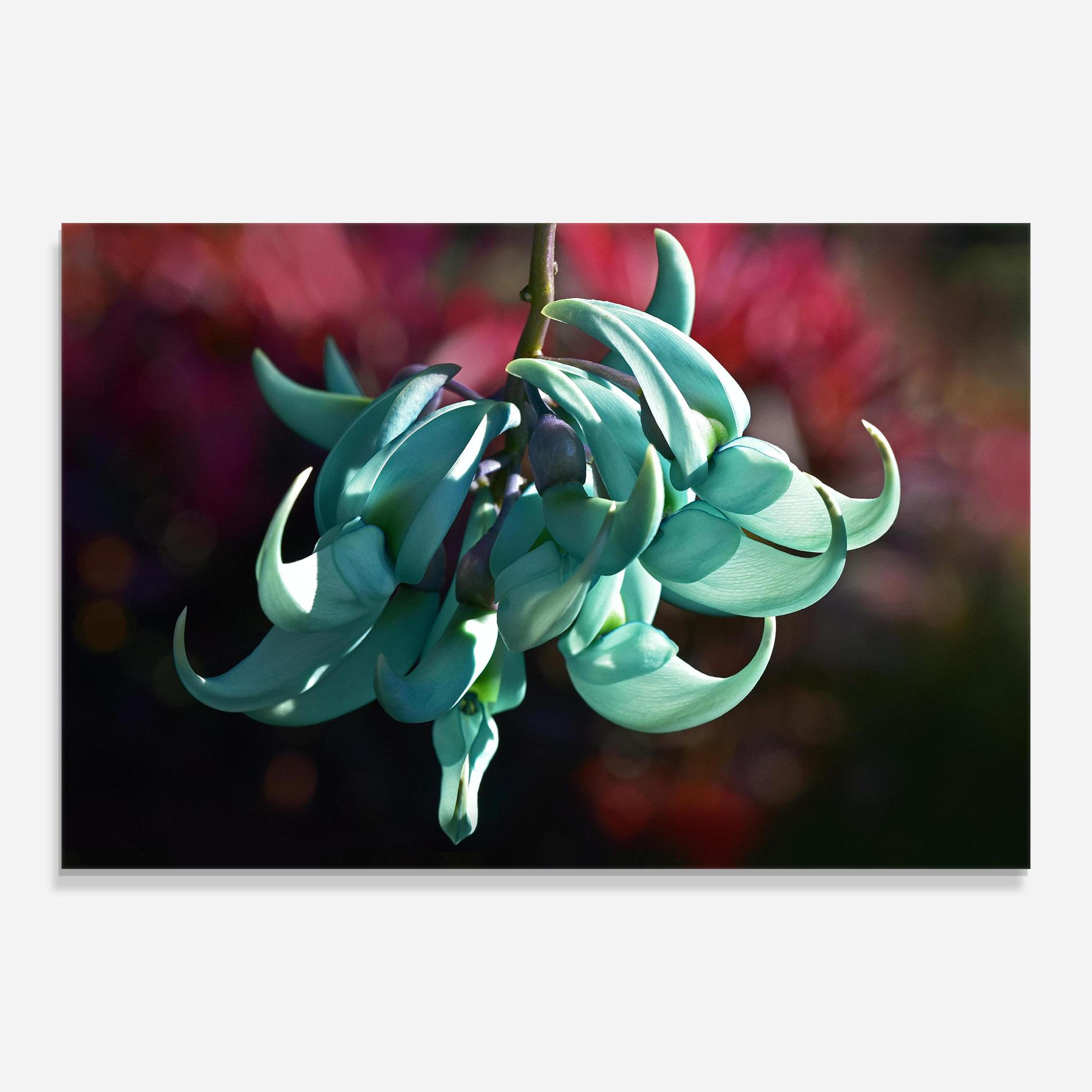 Glasbild Pastel Green Plant mockup 0