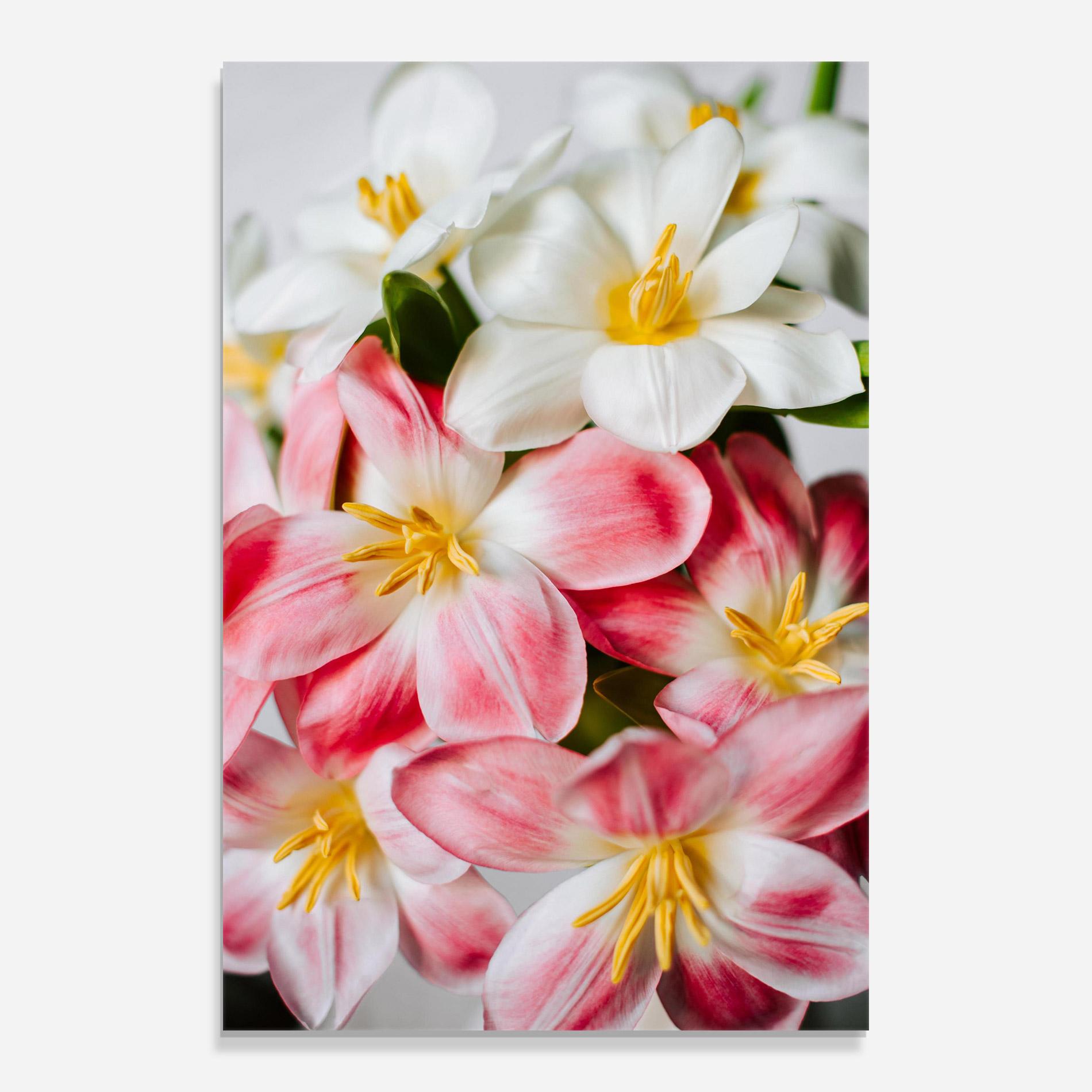 Glasbild Beautiful Exotic Flower mockup 0