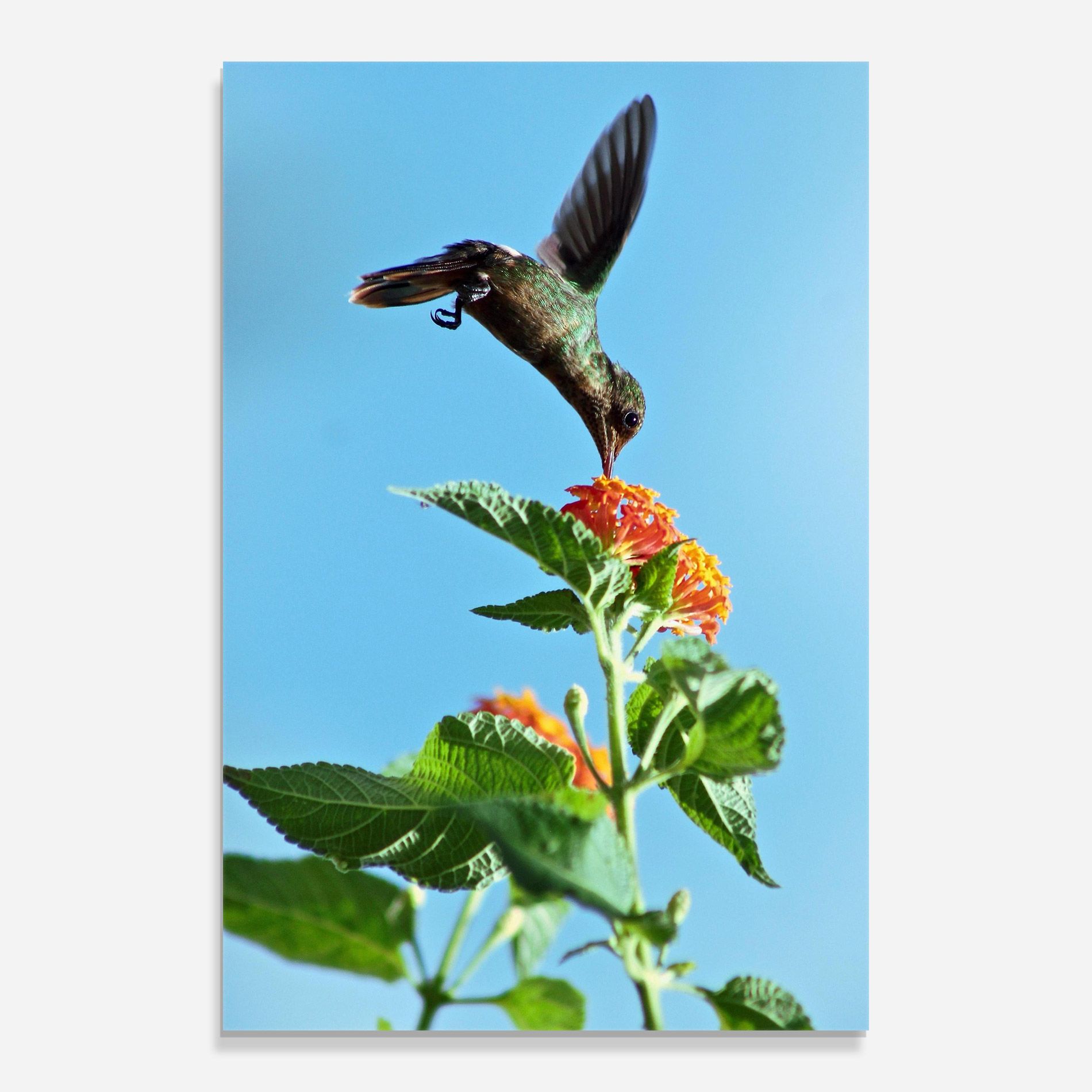 Bird Exotic Flower mockup 0