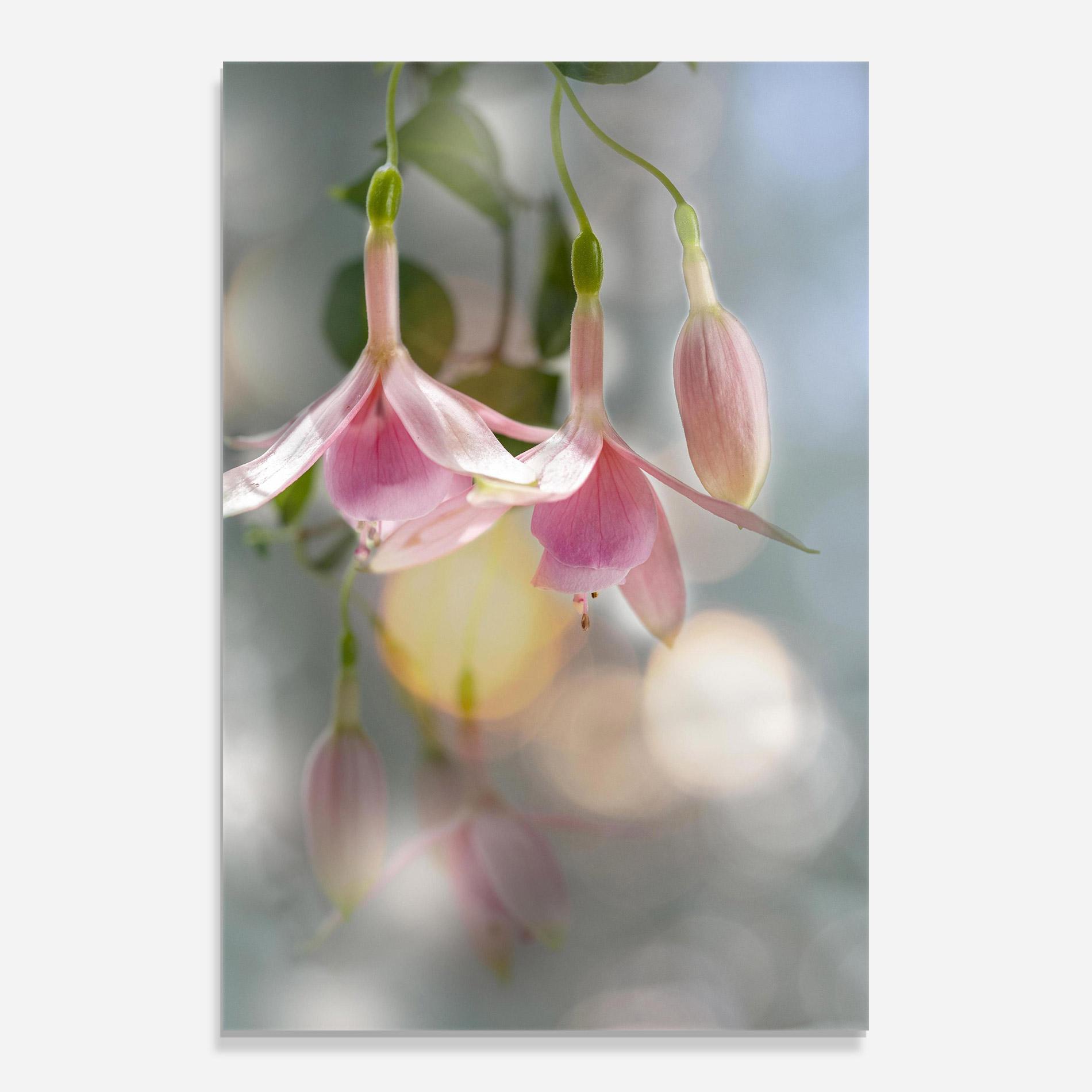 Glasbild Dreamy Pink Exotic mockup 0