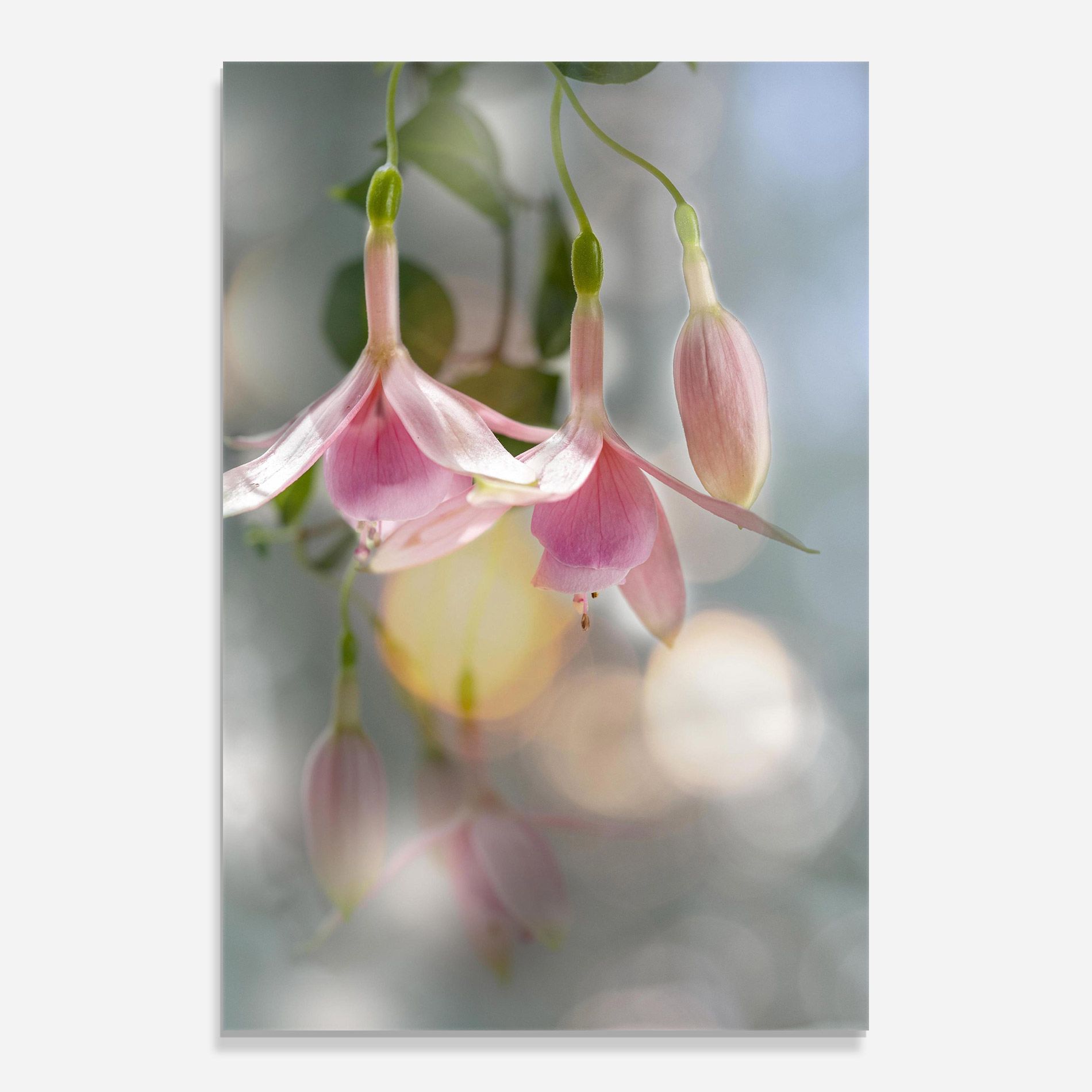 Dreamy Pink Exotic mockup 0