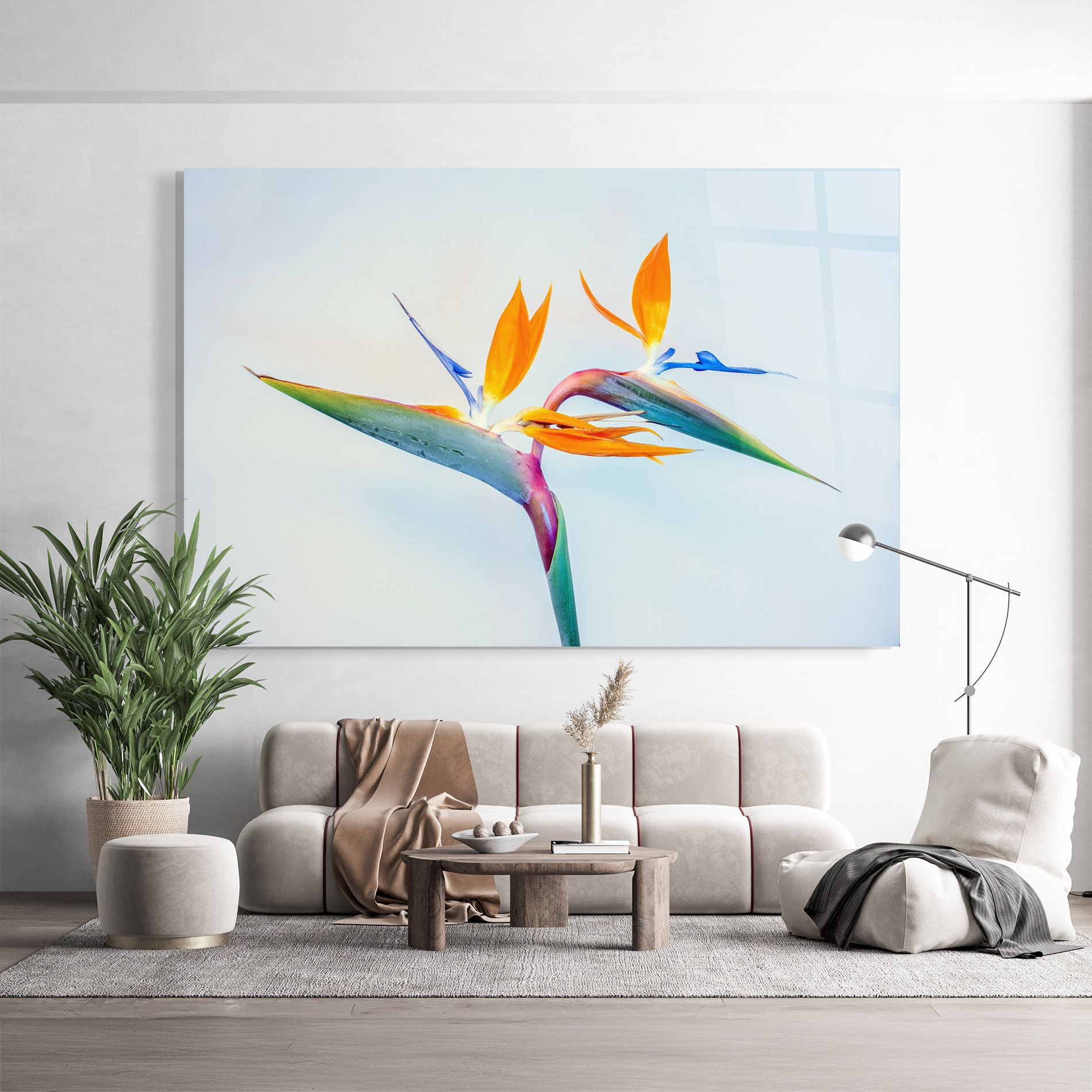 Green Orange Exotic mockup 9