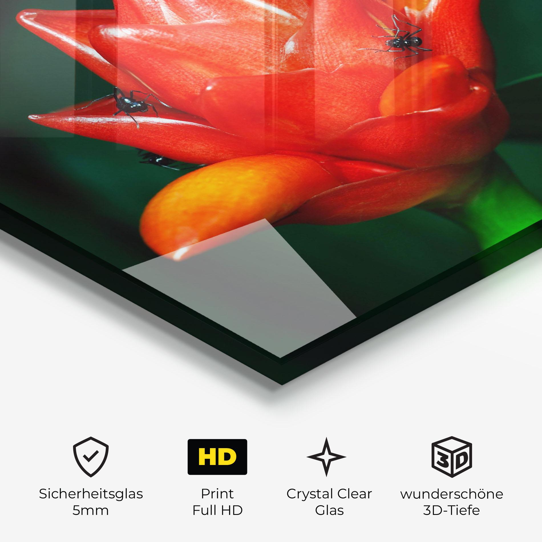 Glasbild Cool Orange Exotic mockup 3