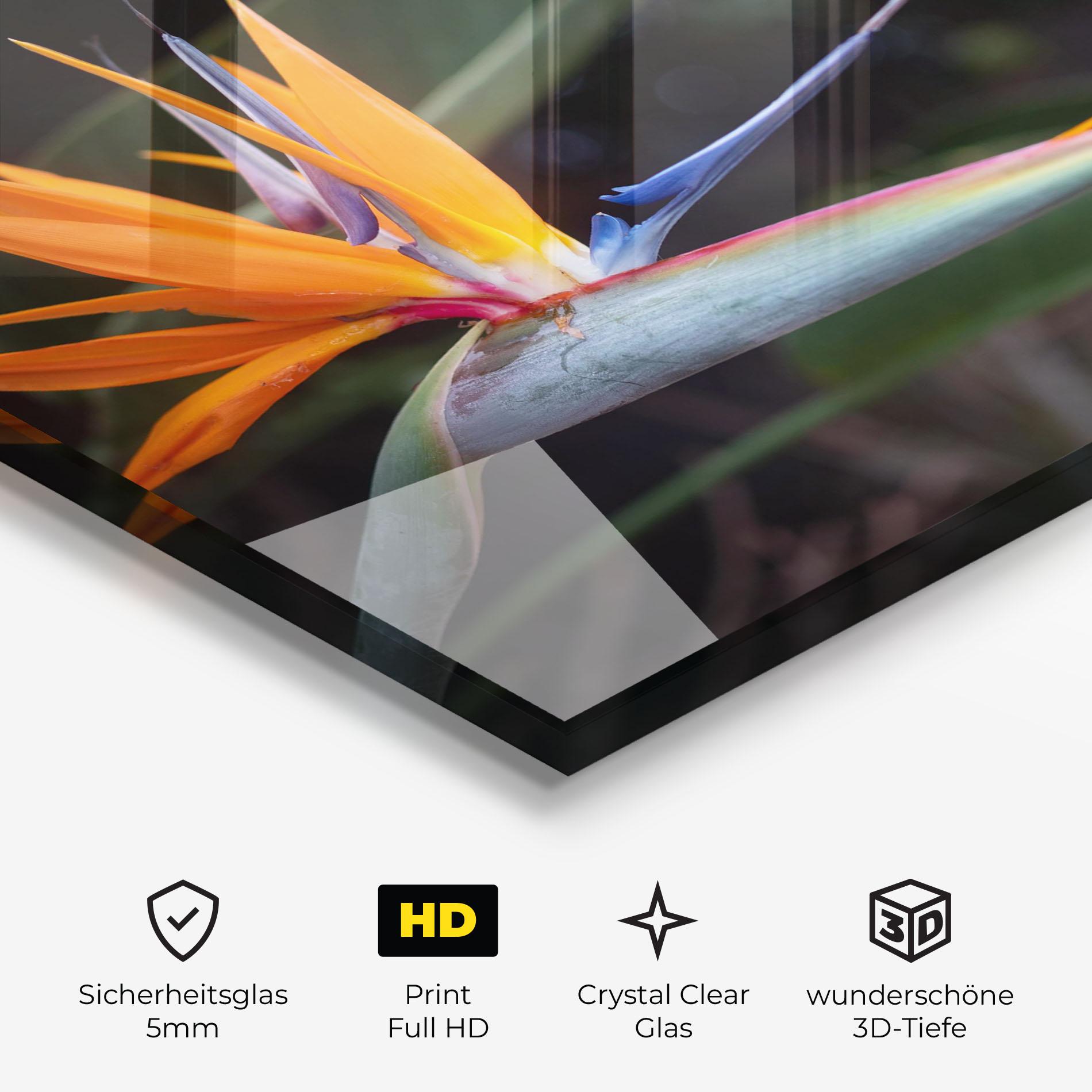 Glasbild Paradise Plant mockup 3