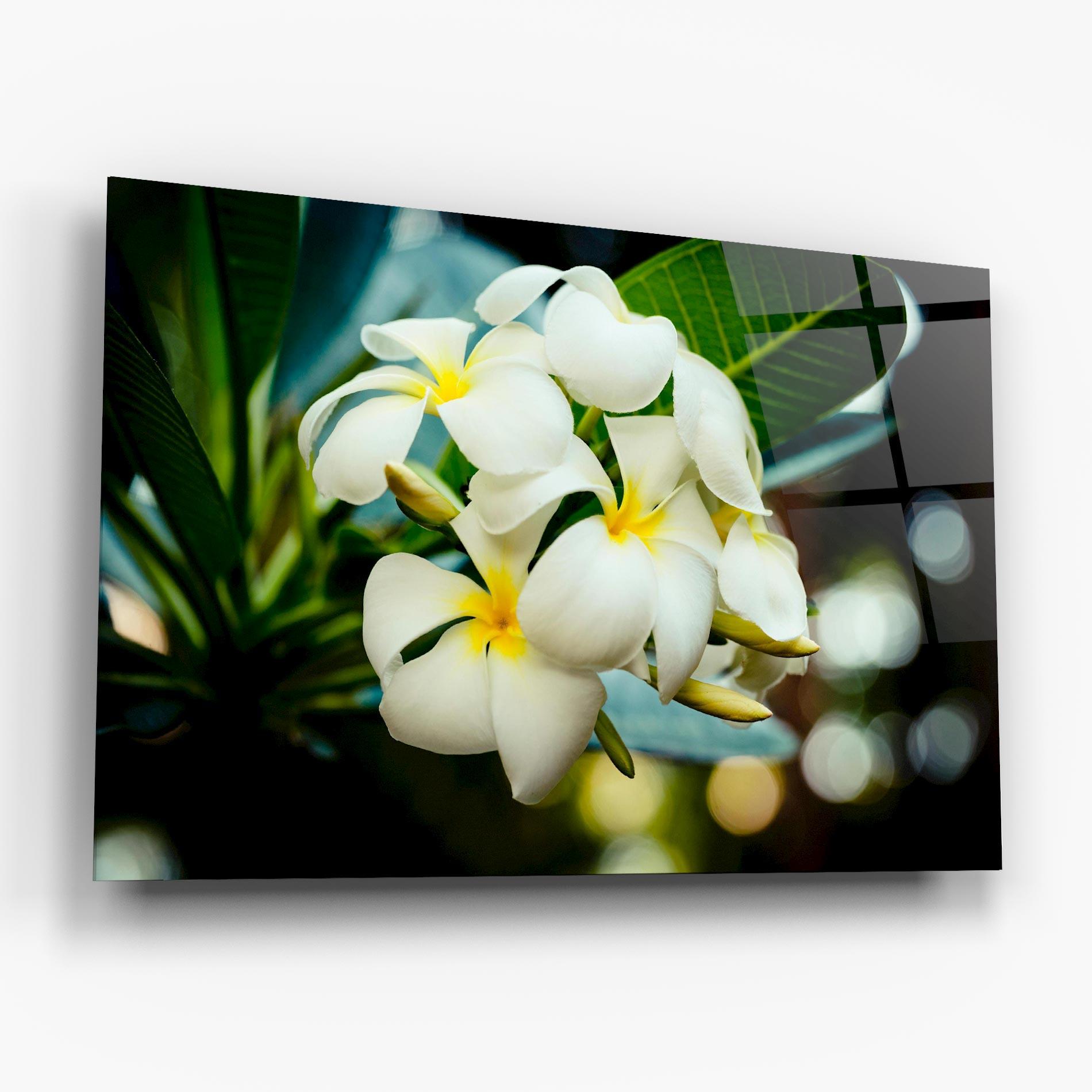 Glasbild Beautiful White Exotic mockup 6