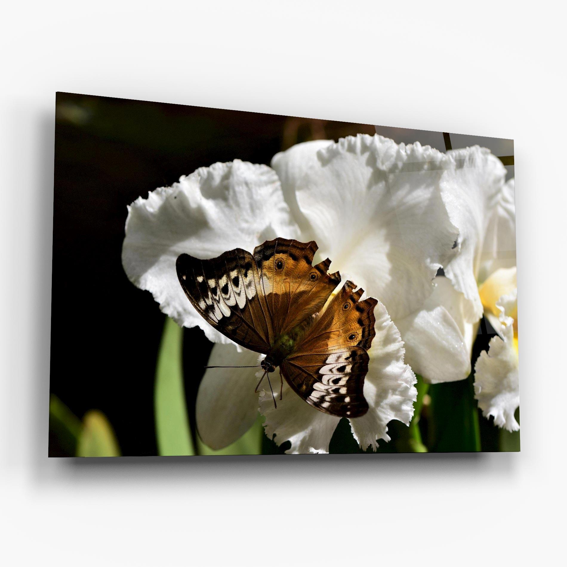 Glasbild Butterfly Exotic Plant mockup 6