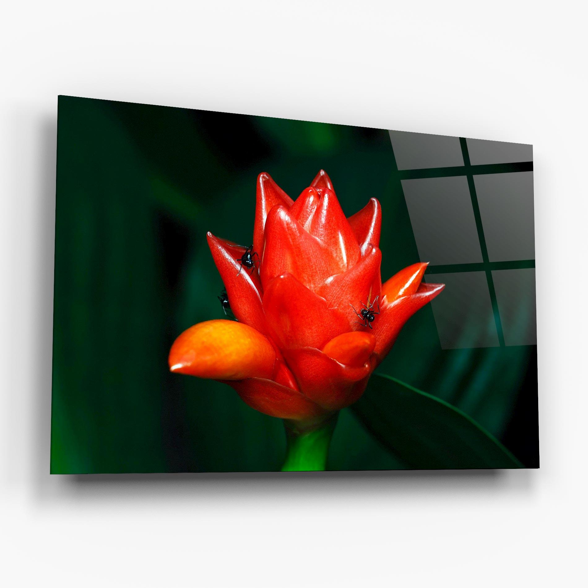 Glasbild Cool Orange Exotic mockup 6