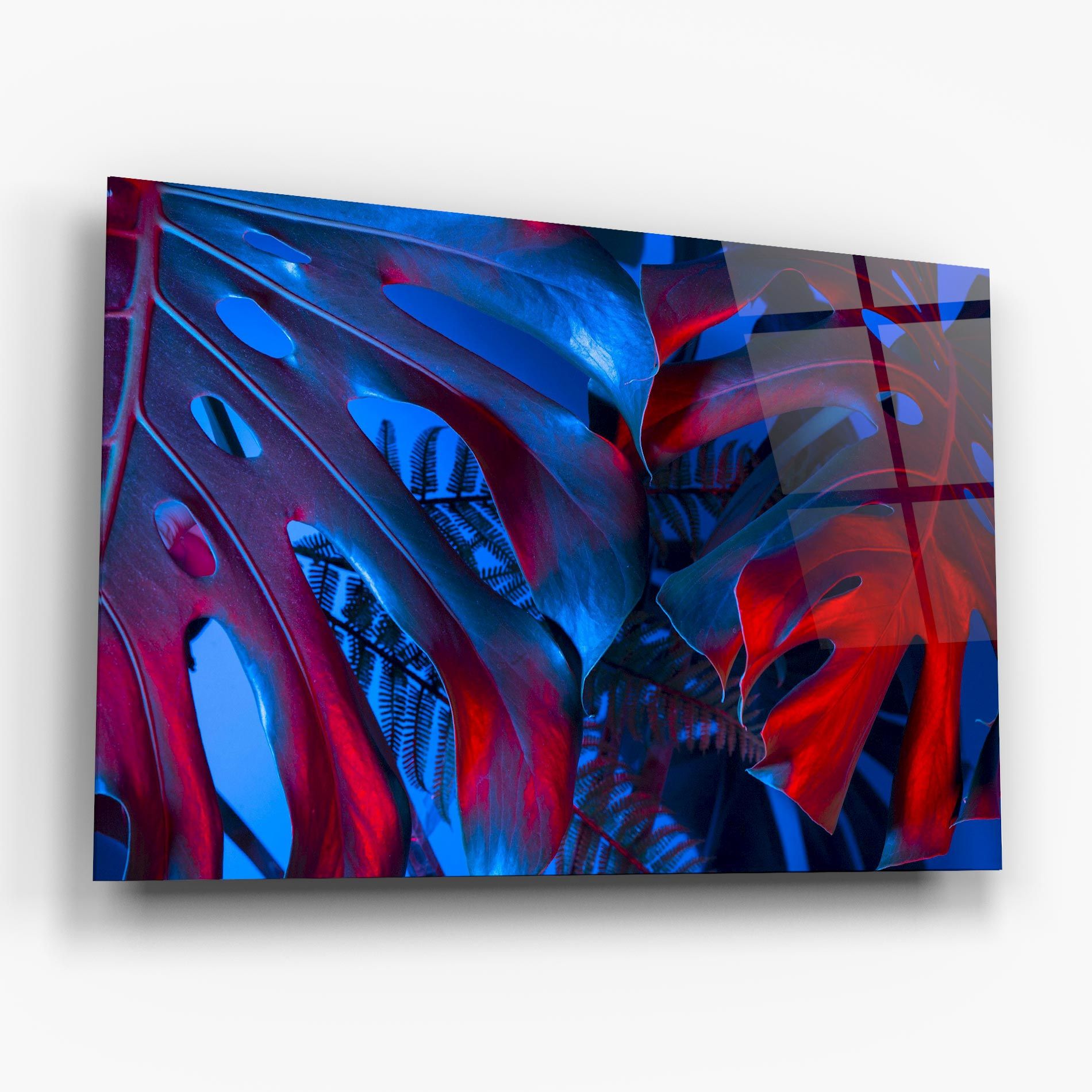 Exotic Blue Leaf mockup 6