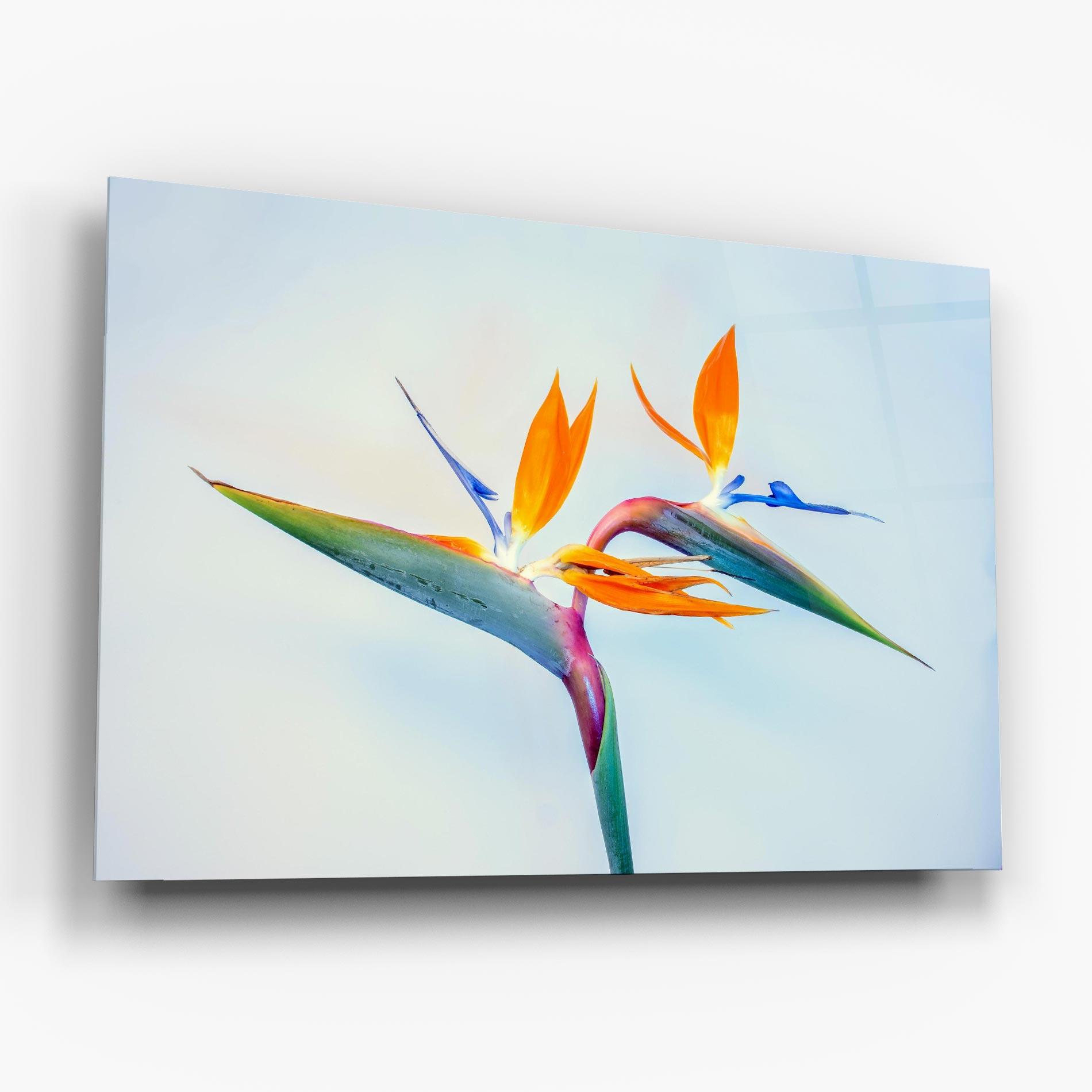 Glasbild Green Orange Exotic mockup 6