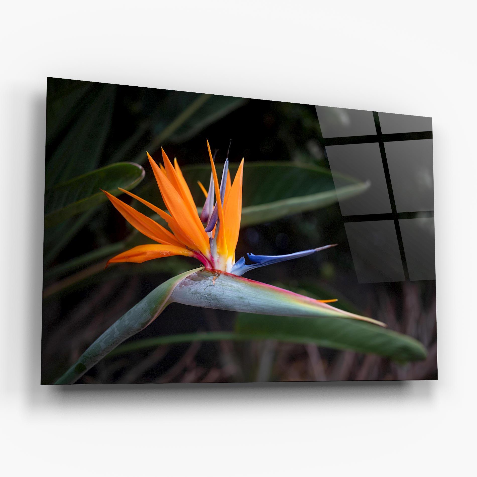 Glasbild Paradise Plant mockup 6