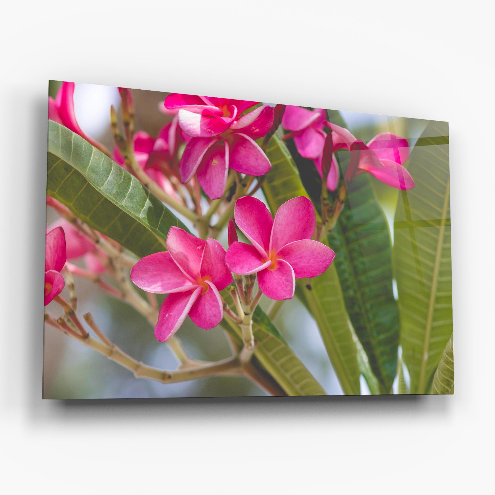 Glasbild Pink Exotic Flowers mockup 6