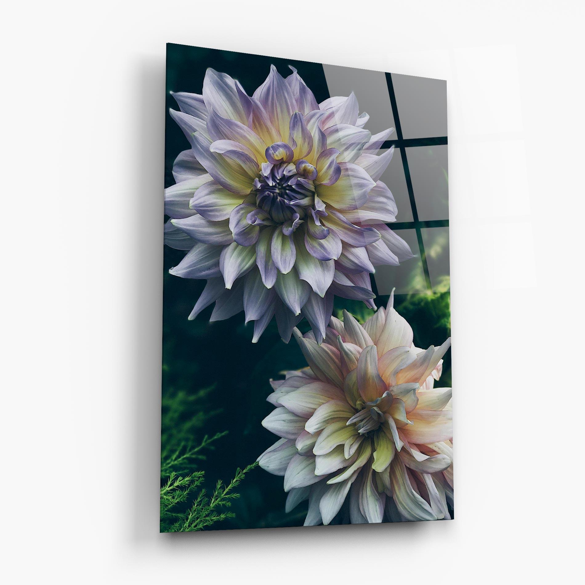 Glasbild Dahlia Flowers mockup 6