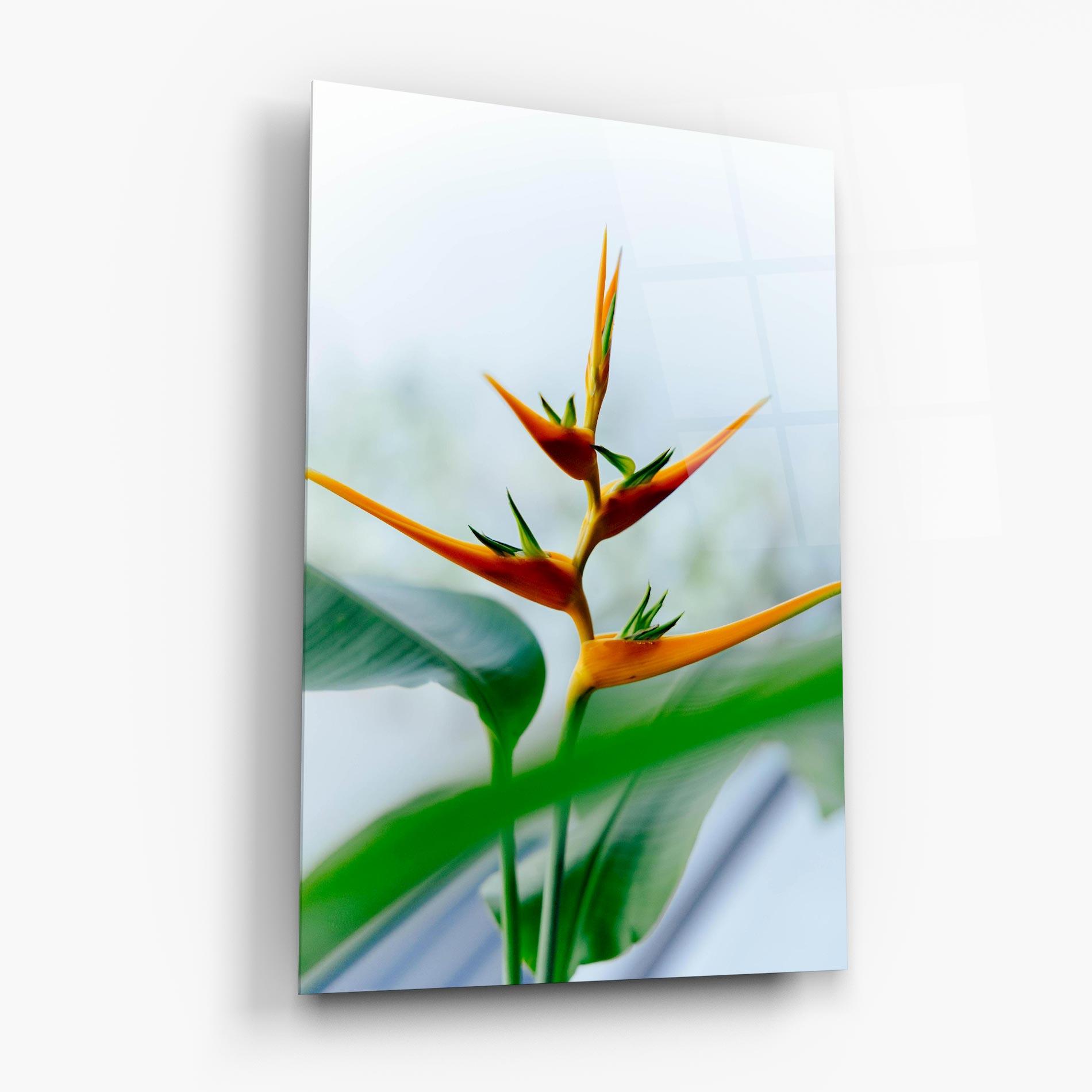 Glasbild Exotic Orange Green mockup 6