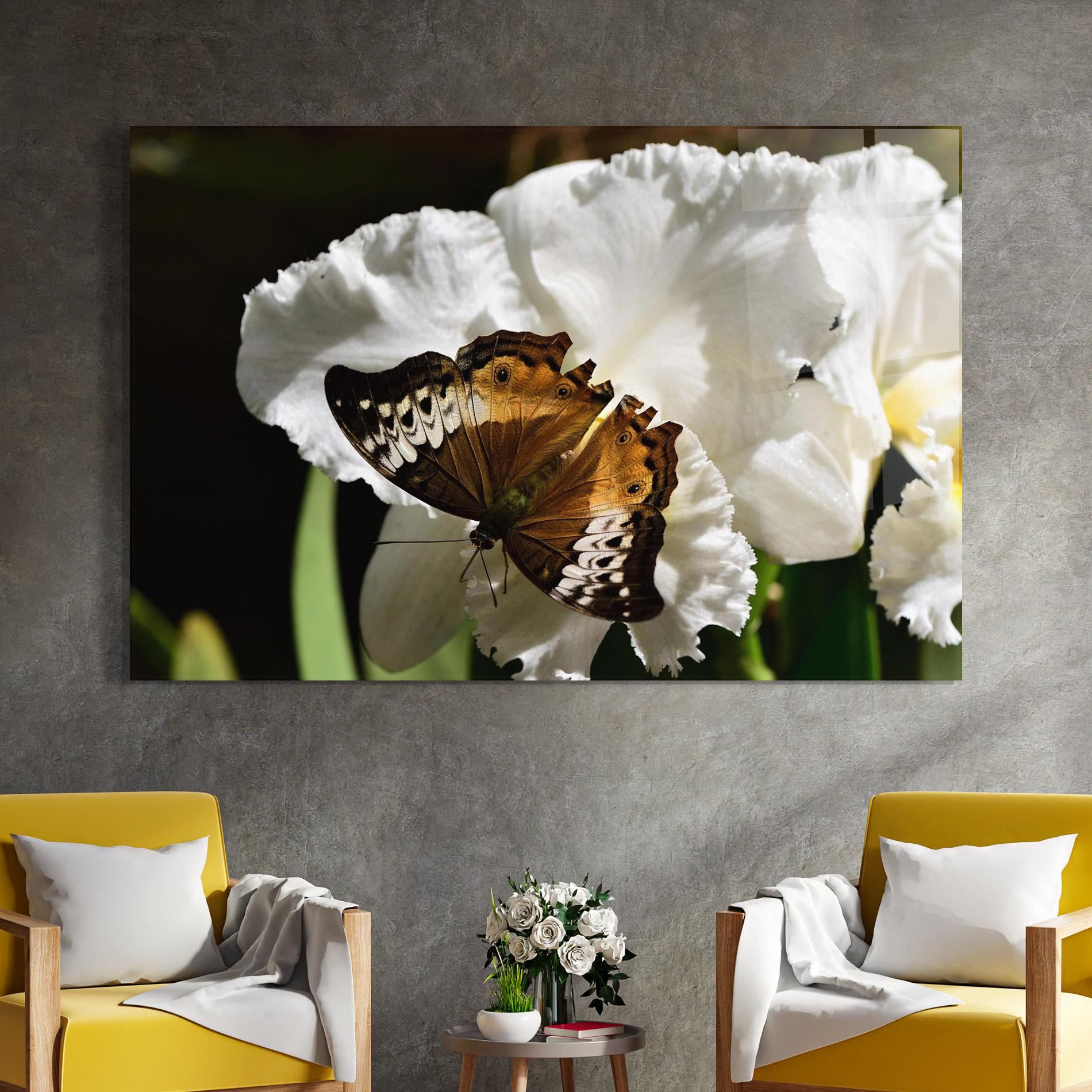 Glasbild Butterfly Exotic Plant mockup 4