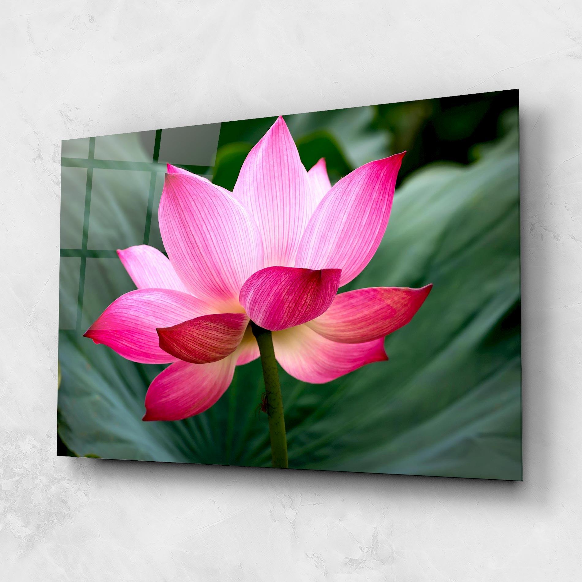 Glasbild Beautiful Pink Exotic mockup 1